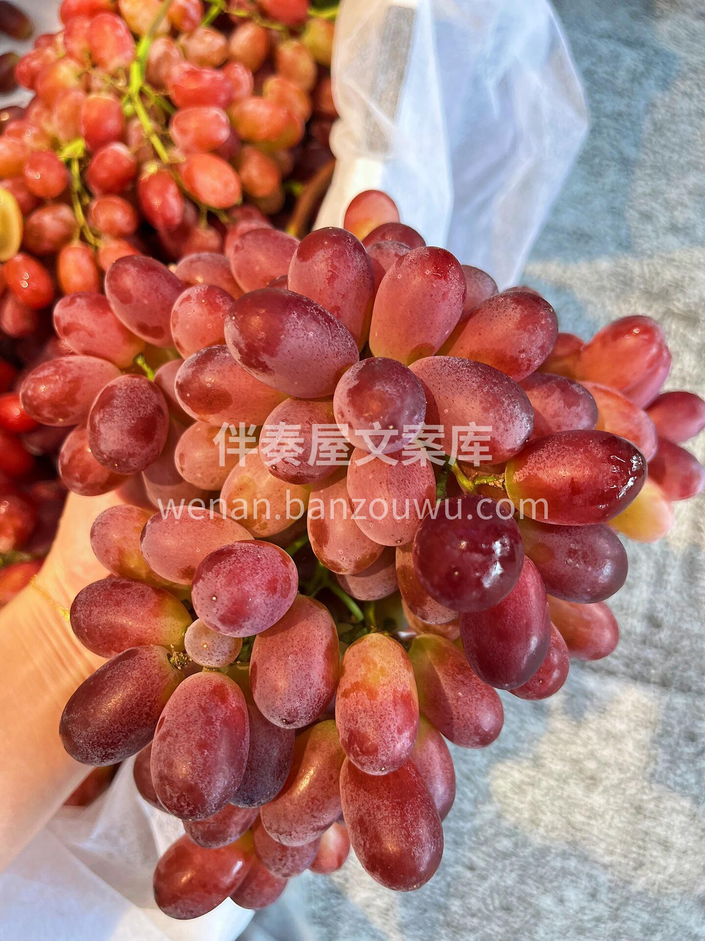 无籽红提🍇 🌈新鲜到极致~果霜完美💯 🌈 配图3
