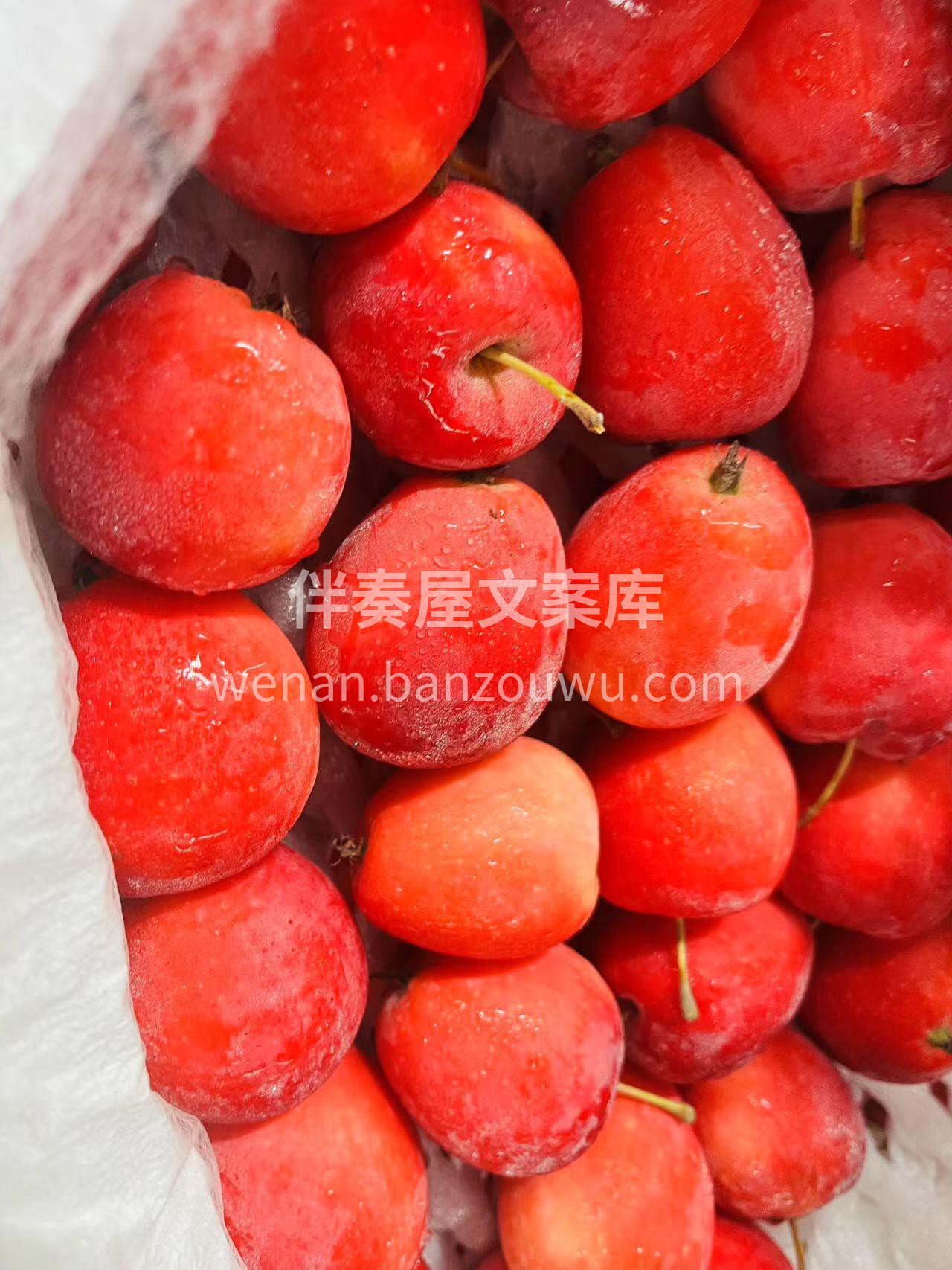 鸡心果🍎特别圈粉小朋友😍 家里的小孩子， 配图3