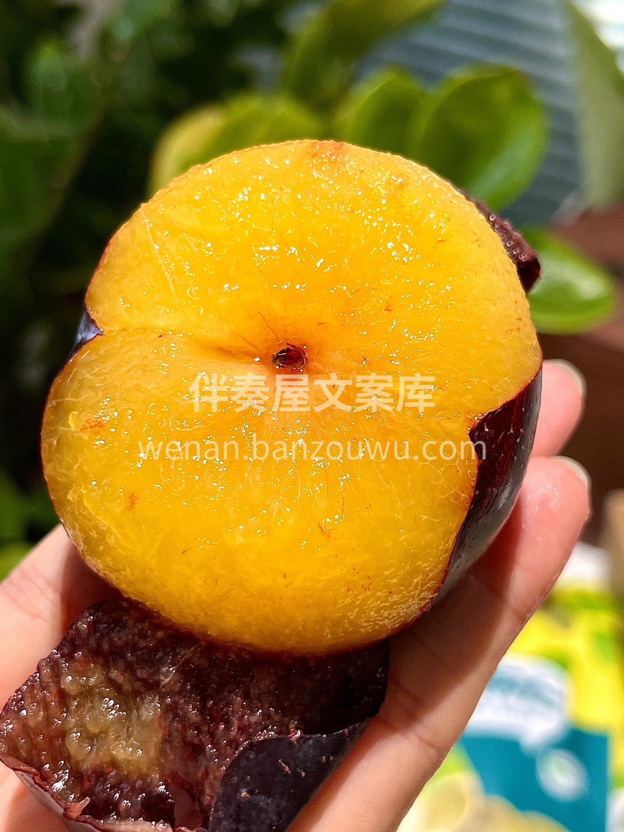 黑布林这颜值😝 这新鲜度好的没话说👍，每 配图1