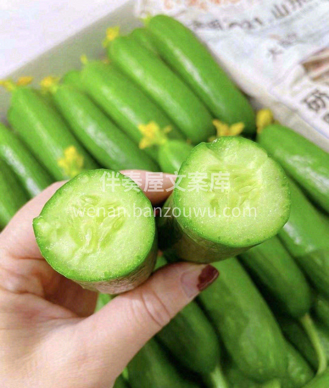 🥒水果黄瓜个头比较Q萌小巧，通身可以吃， 配图1