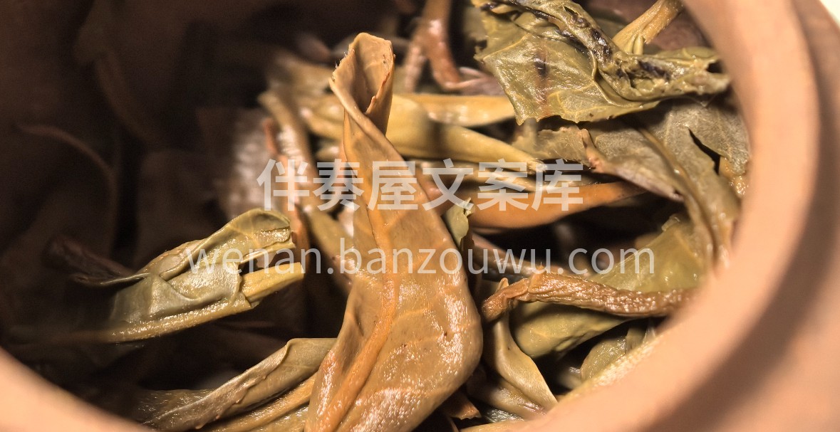 大叶青茶 茶汤橙黄明亮，入口醇和甘甜。  配图2