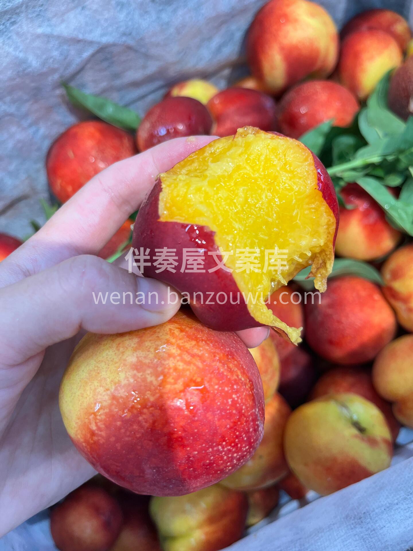 🥰红油桃最新到货‼️ 🍑光滑无毛，吃起来 配图1