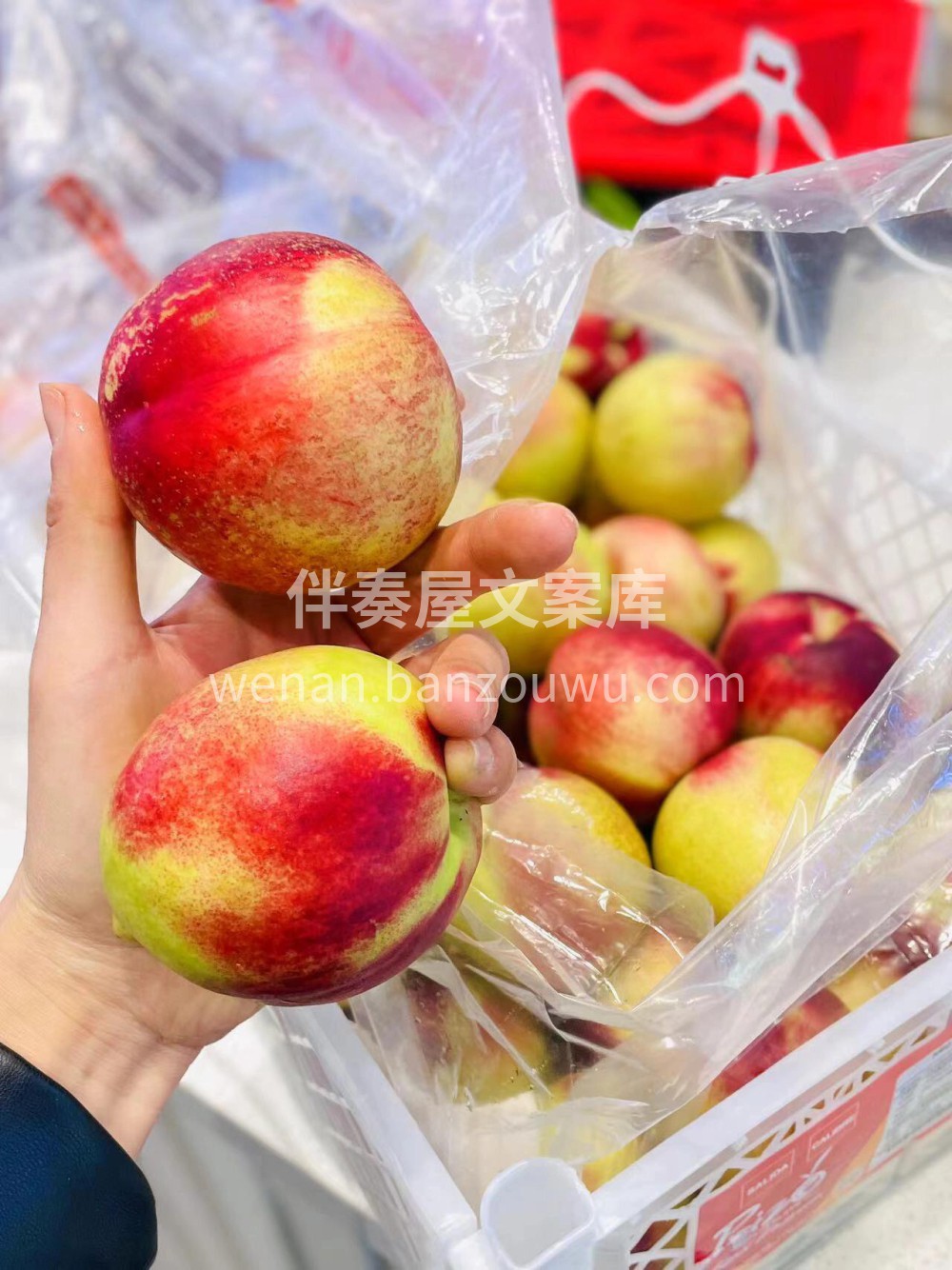 饭‮解后‬腻‼️ 就喜‮这欢‬种脆‮生生‬的香甜? 【澳‮油 配图1
