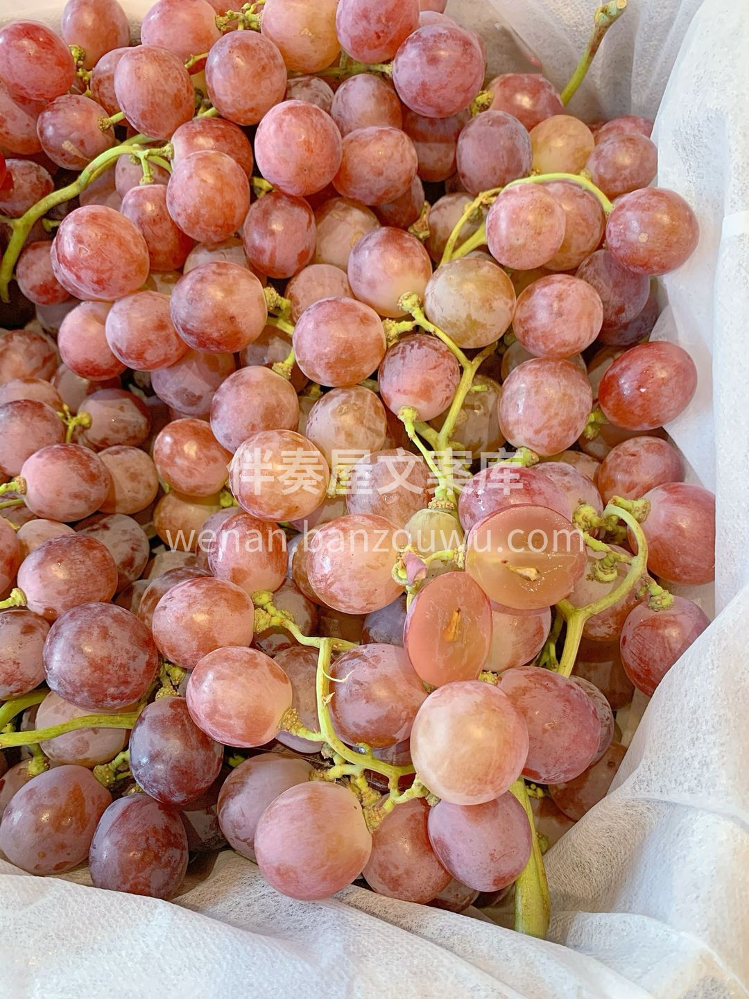 🍇每一颗红提都裹着厚厚的一层白色果粉，  配图3
