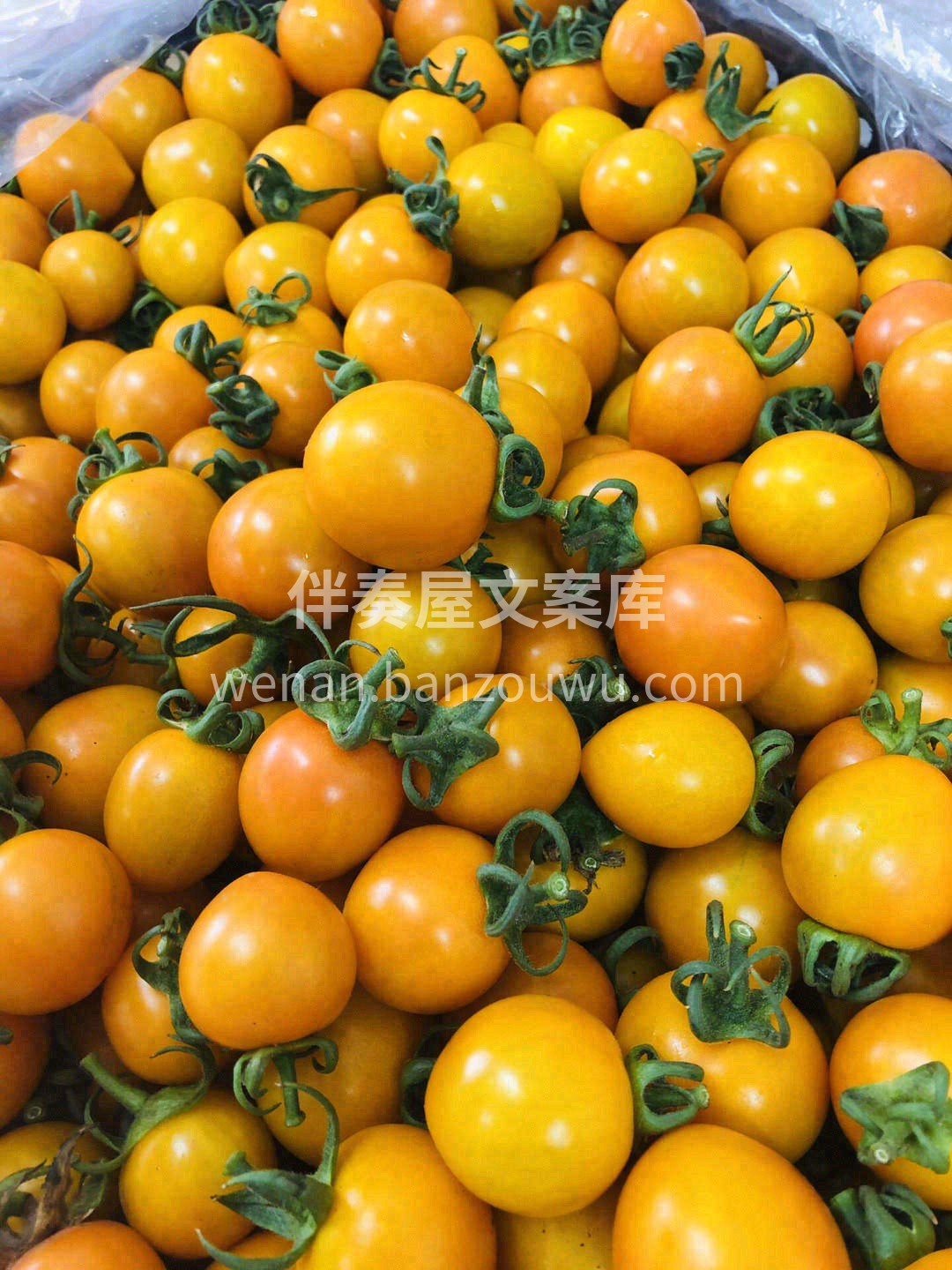 今天的好心情从一份可以爆浆的阳光小番茄开 配图2