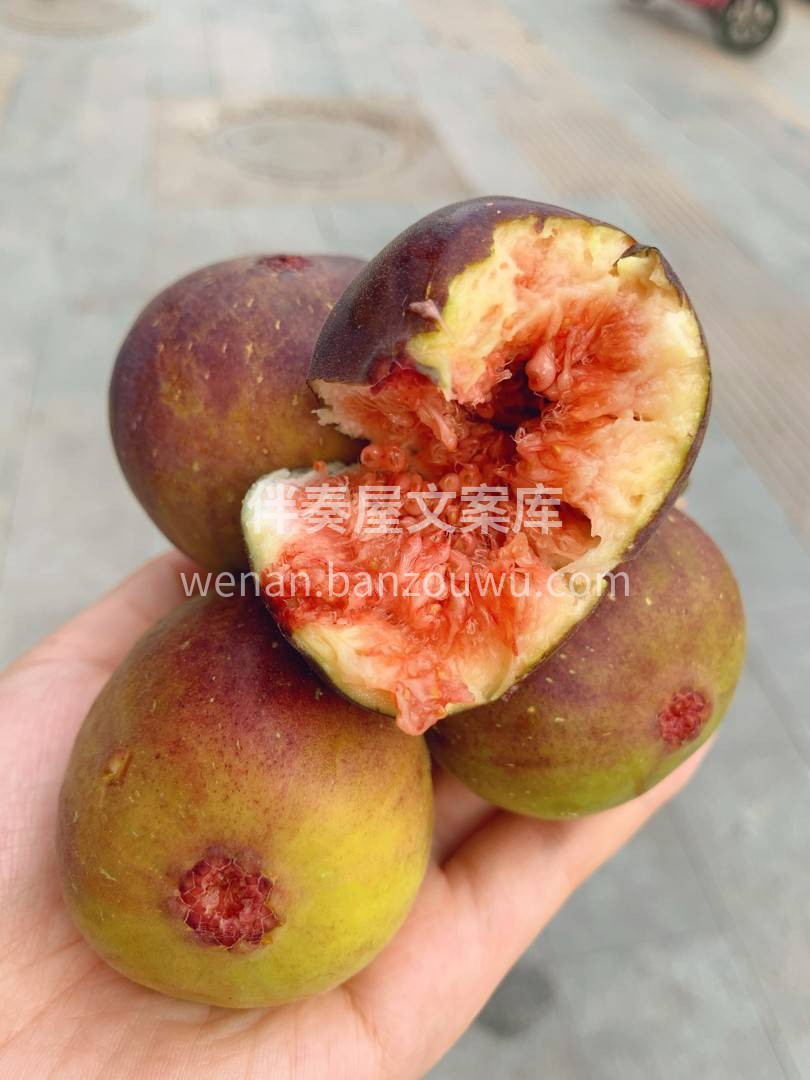无花果被称为“长在?树上的糖包子” 细腻 配图1