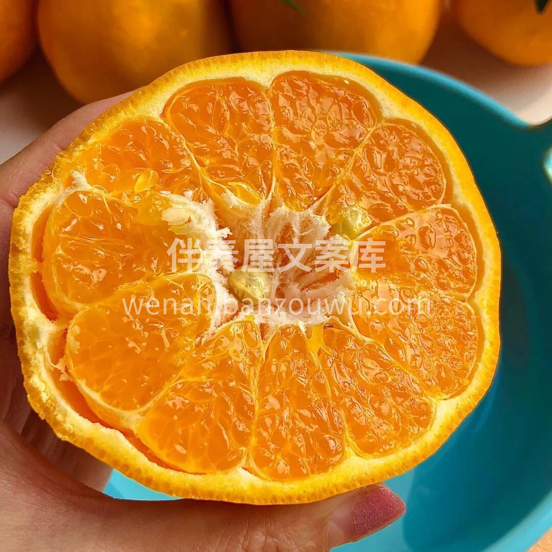 🍊春见耙耙柑 不管你的城市吹风下雪， 我 配图1