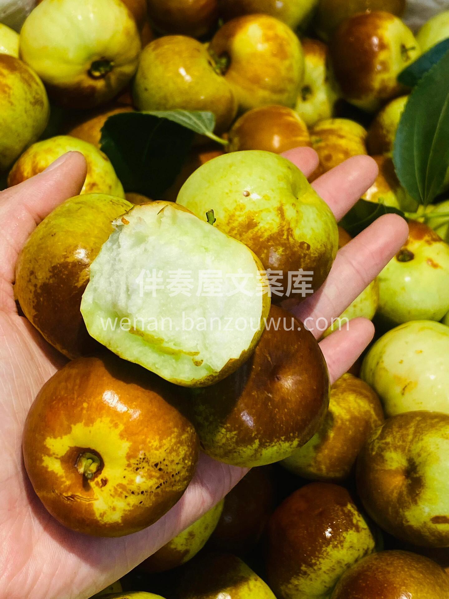 蟠枣🌴🌞一口咬下去，满嘴都是甜蜜的味道。 配图2