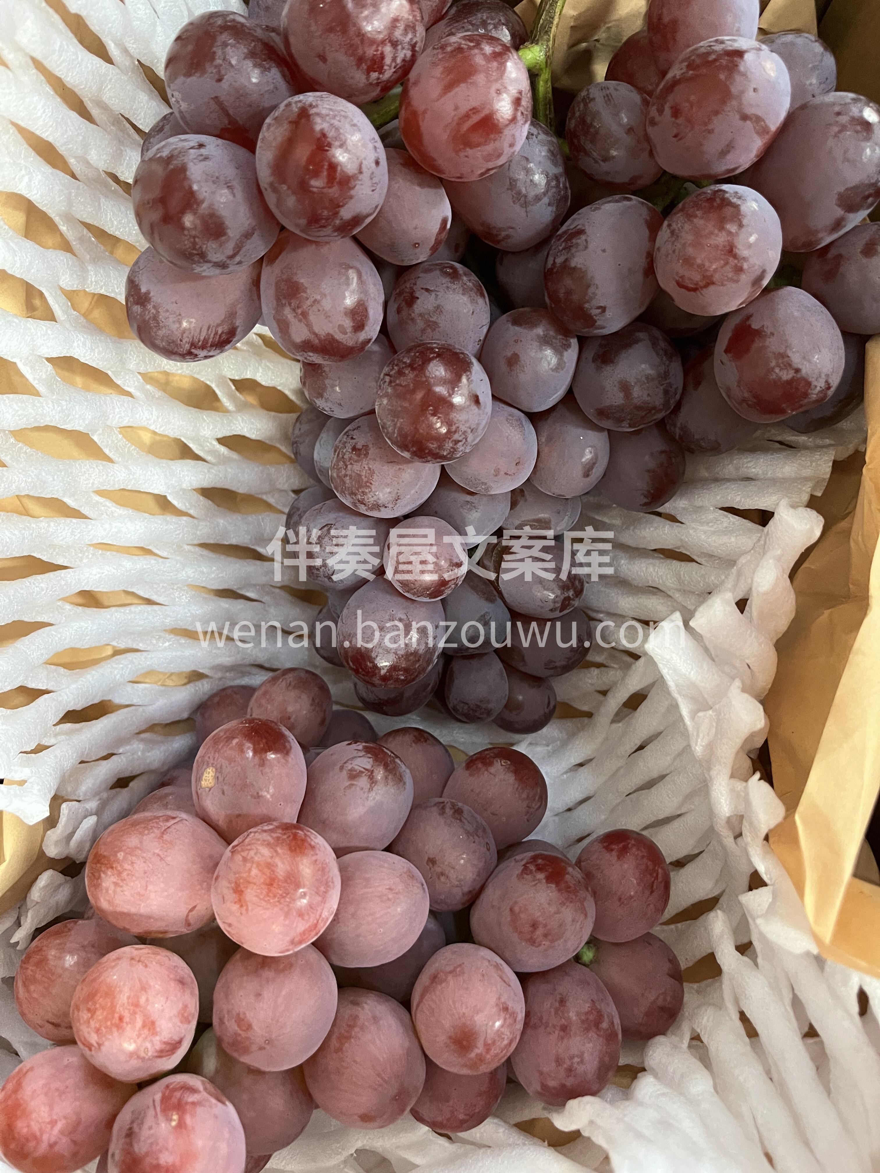 云南高原红提自然成熟🍇 色泽艳丽，颗粒饱 配图1