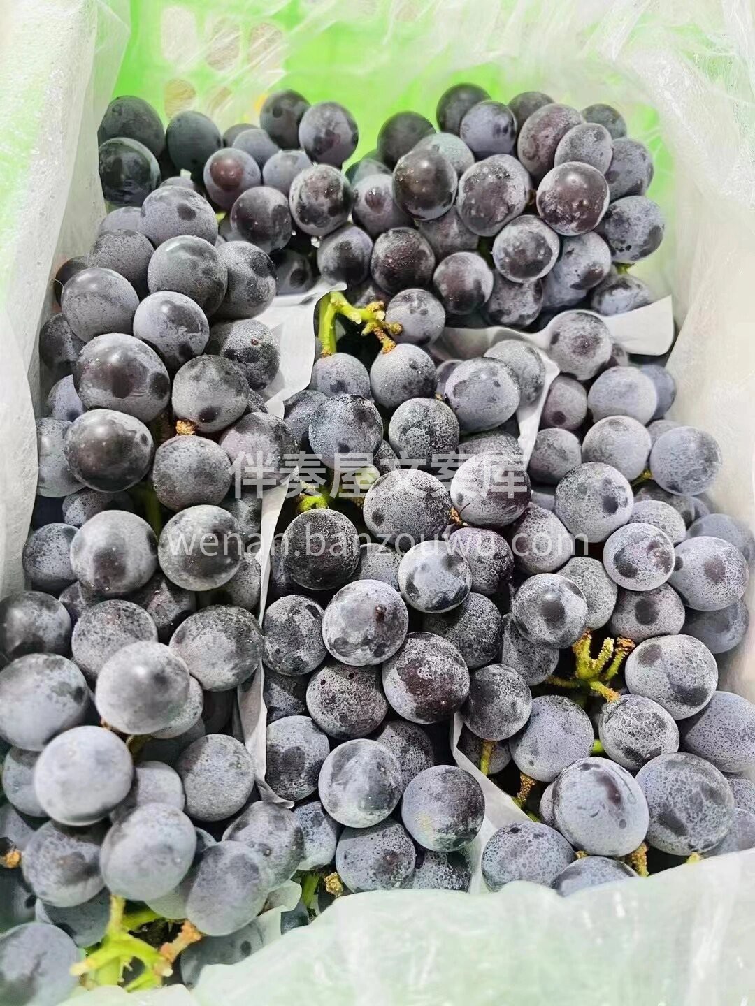蓝莓葡萄🍇 🍇🍇🍇超好吃的蓝莓葡萄来啦！ 配图2