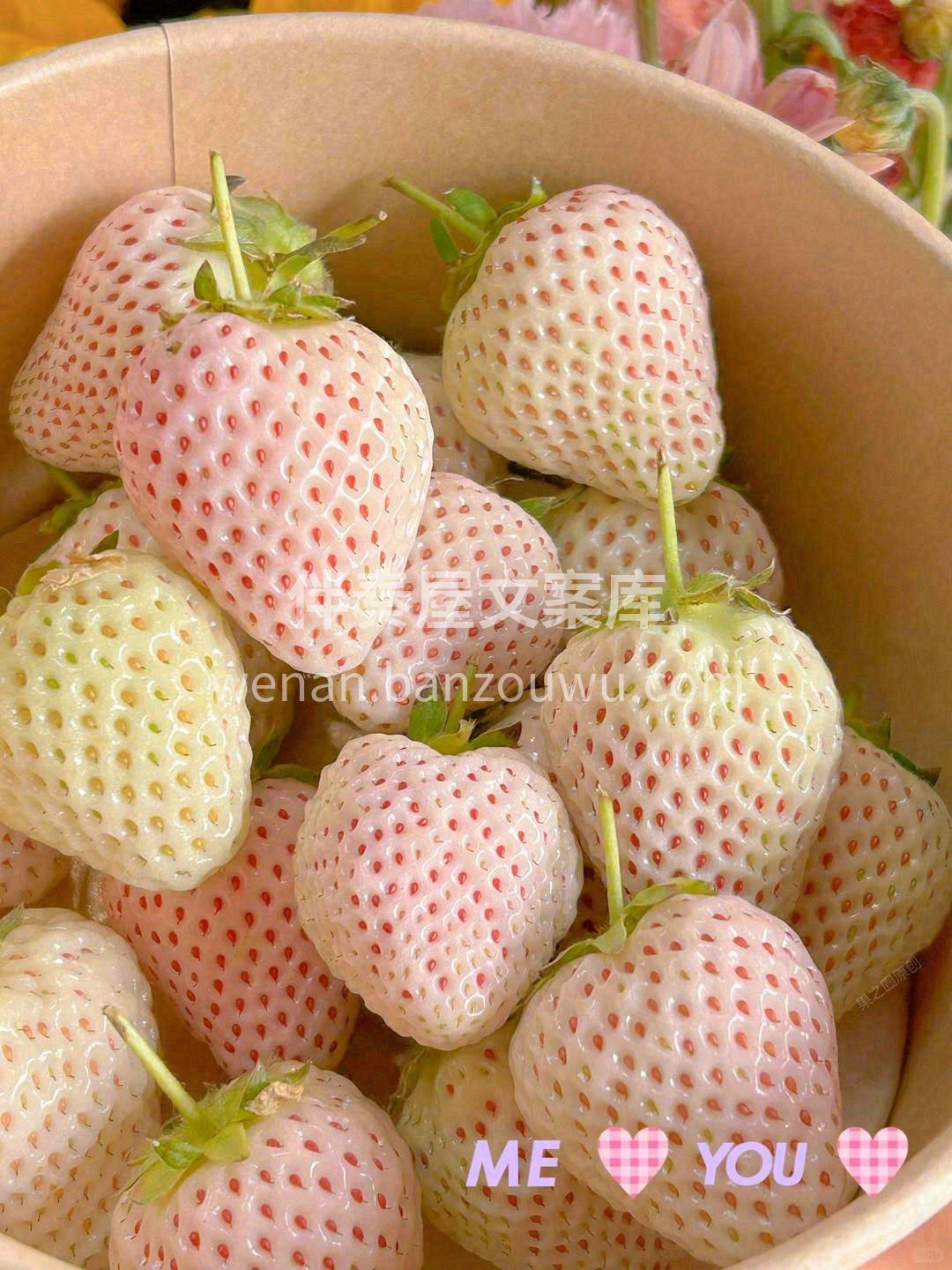 🍓白雪公主草莓软糯梦幻 果皮微透粉红，香 配图3