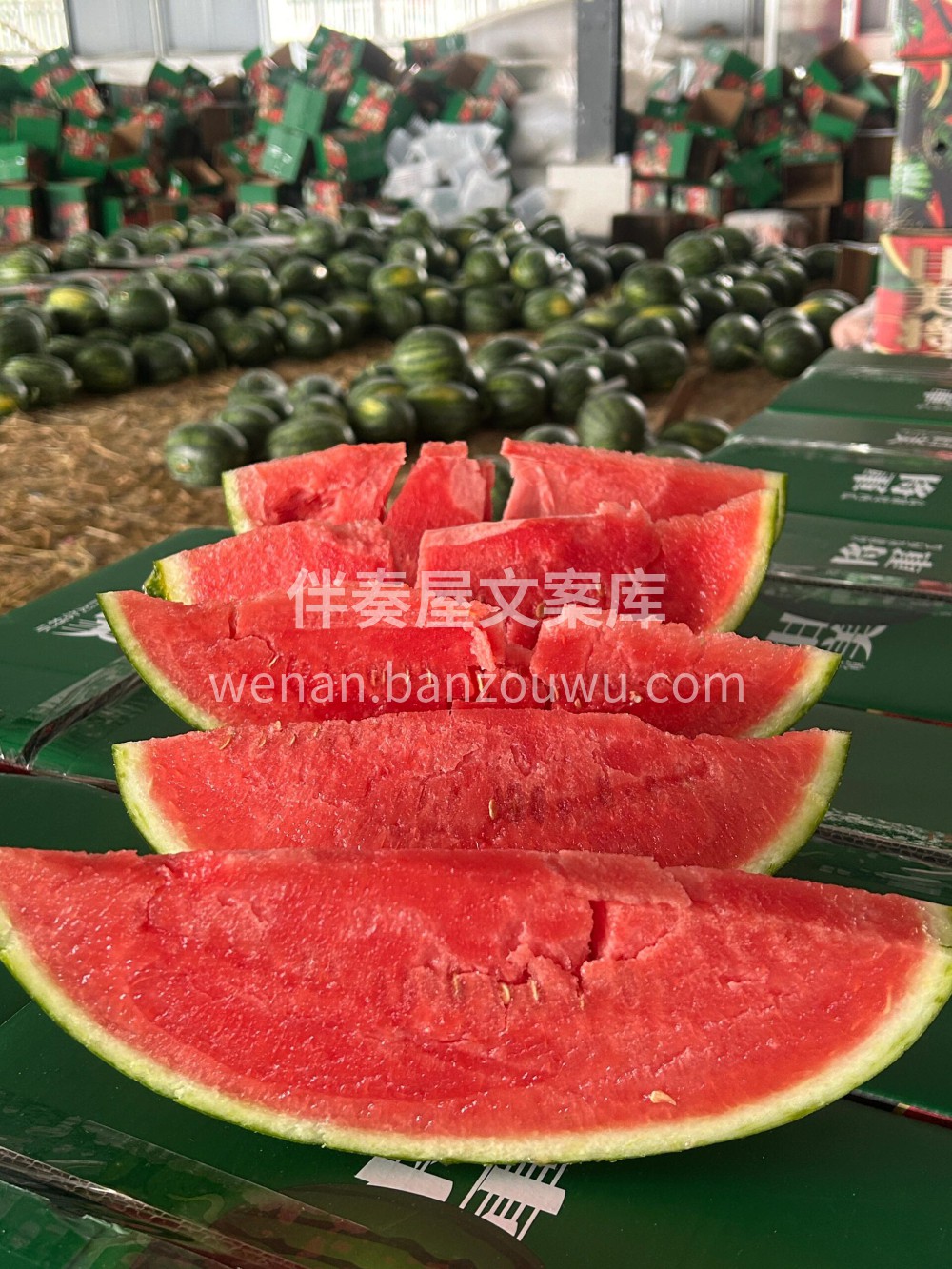 无论吃西瓜🍉还是会觉得甘美4k更出色～  配图3