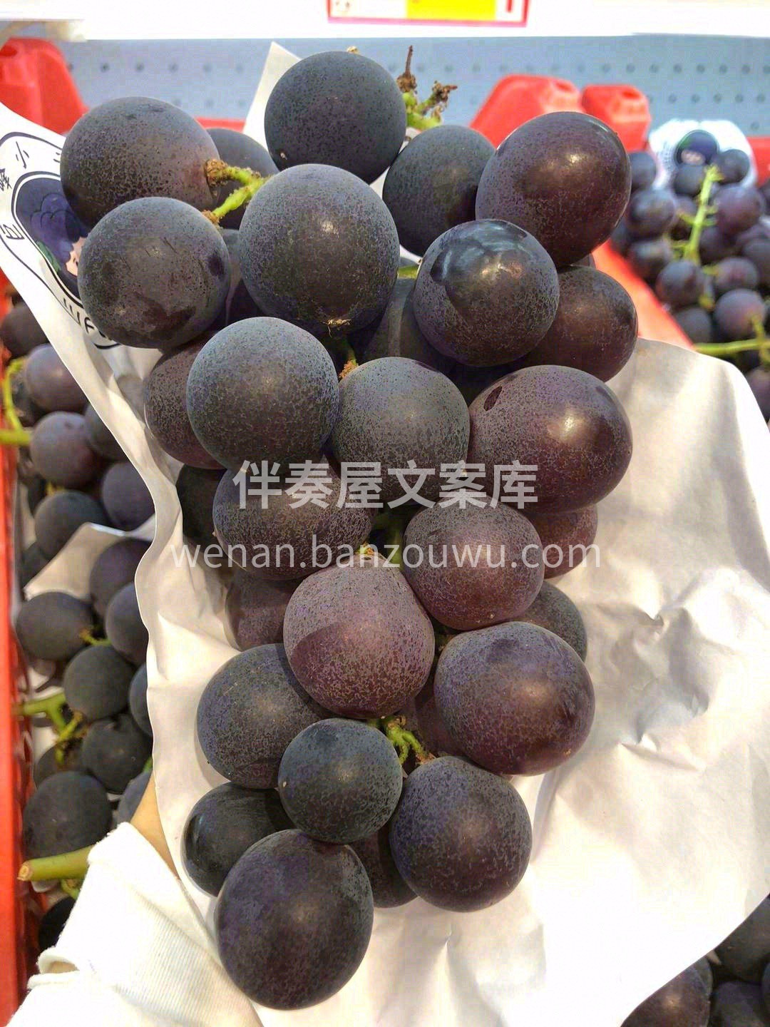 质地紧实，口感好，就像咬了一口夏天阳光🌞 配图1