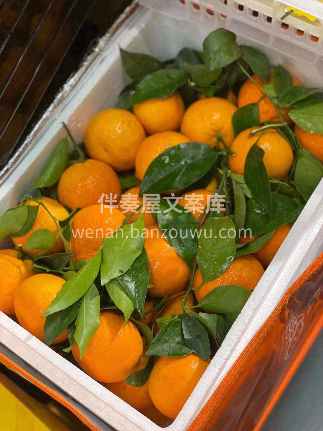 🌈「明日见」甜度超高，口感非常有层次 脆 配图3