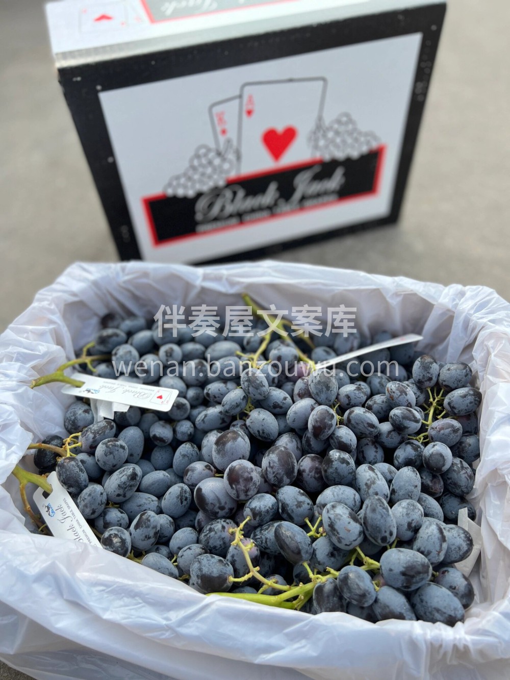 🖤神秘梦境黑提🍇满满果粉，超级新鲜～ 🥰 配图3
