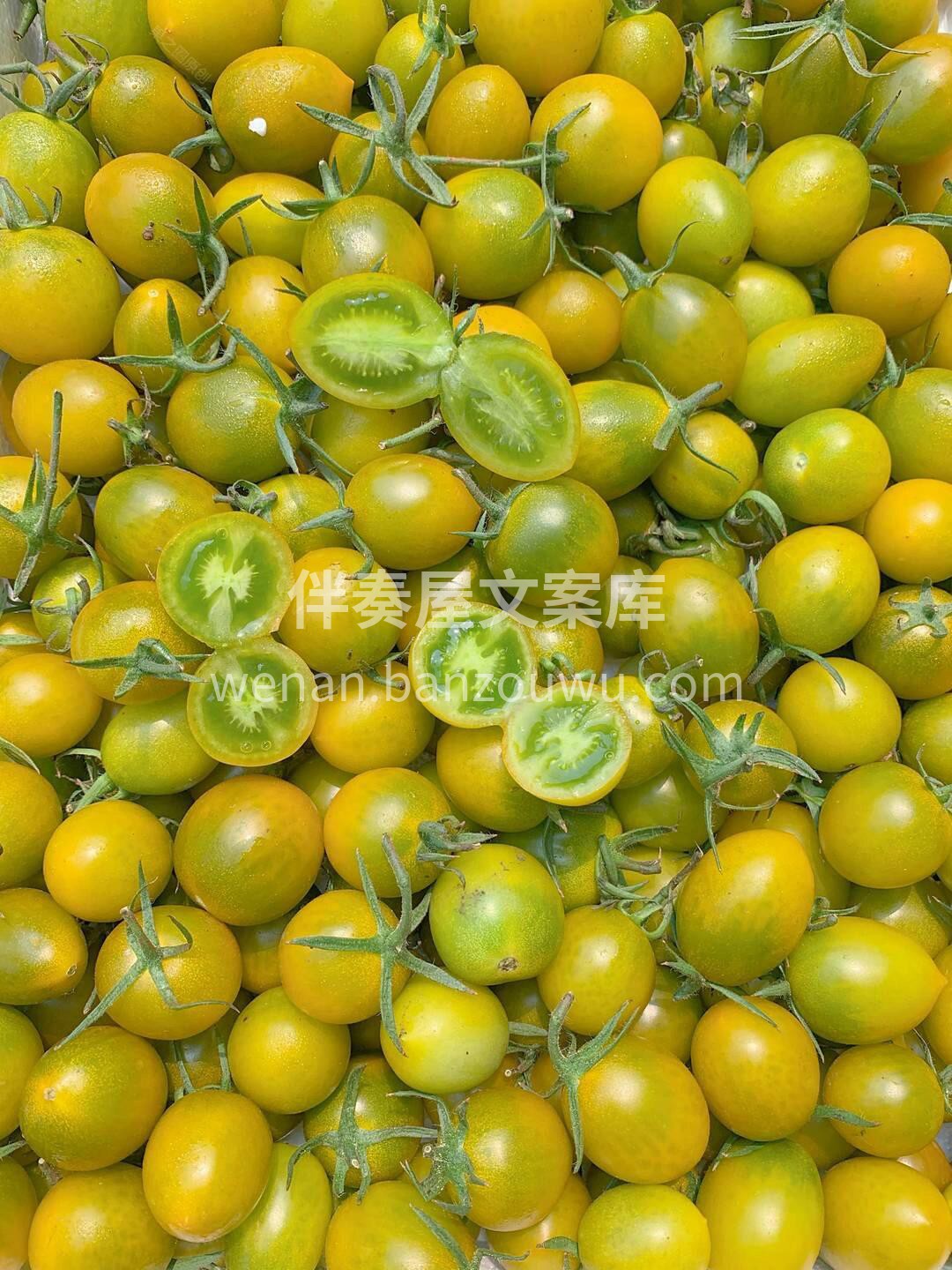 青口蜜小番茄😍，到货 有颜有味的一款小番 配图2
