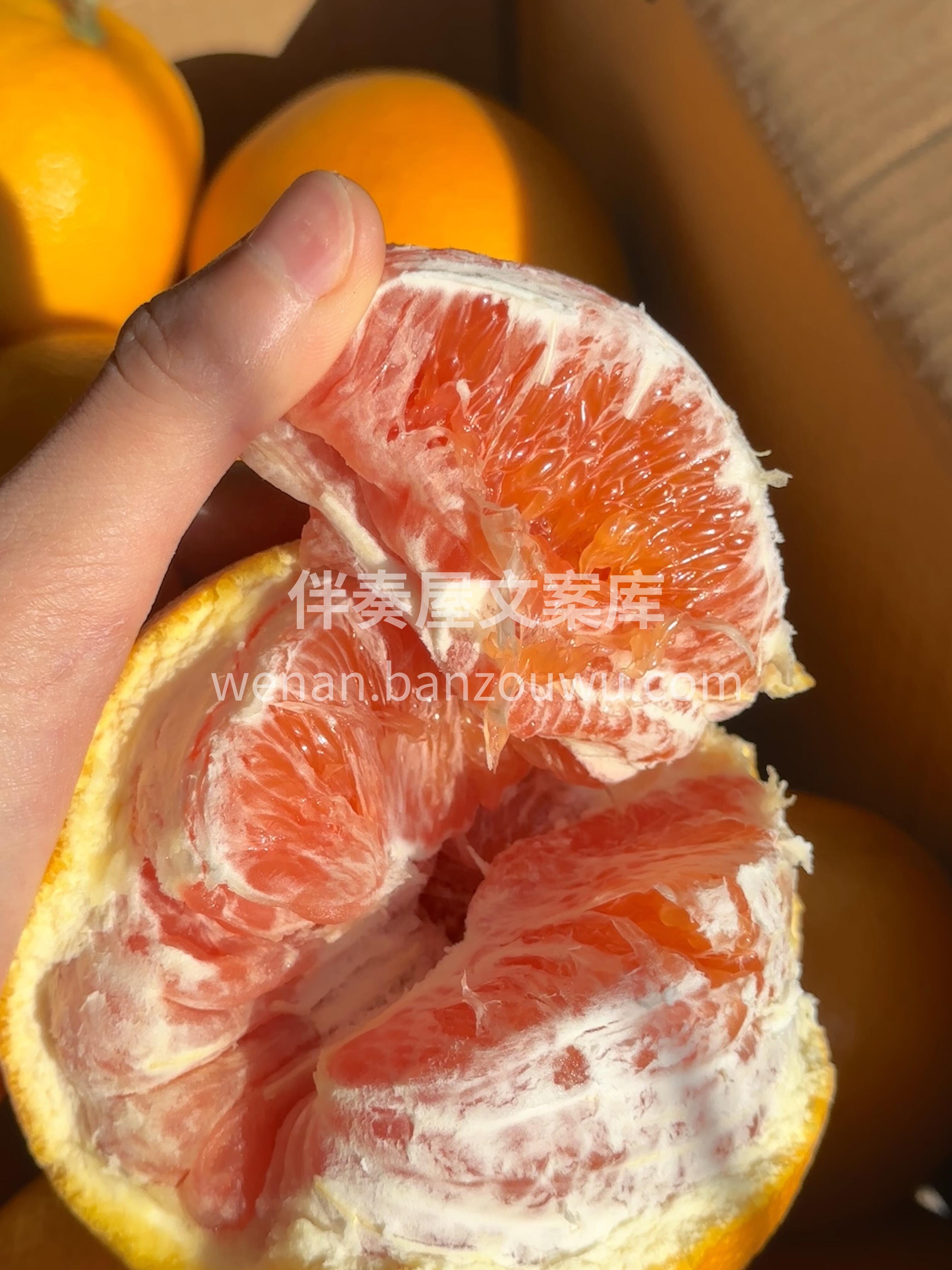 任世界百媚千红 唯独你情有独钟 因为你的 配图1