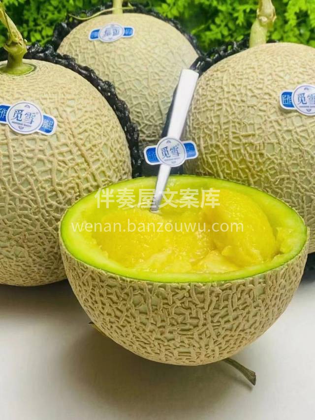 觅雪网纹瓜🍈 国产的静冈网纹瓜，超粗网纹 配图1