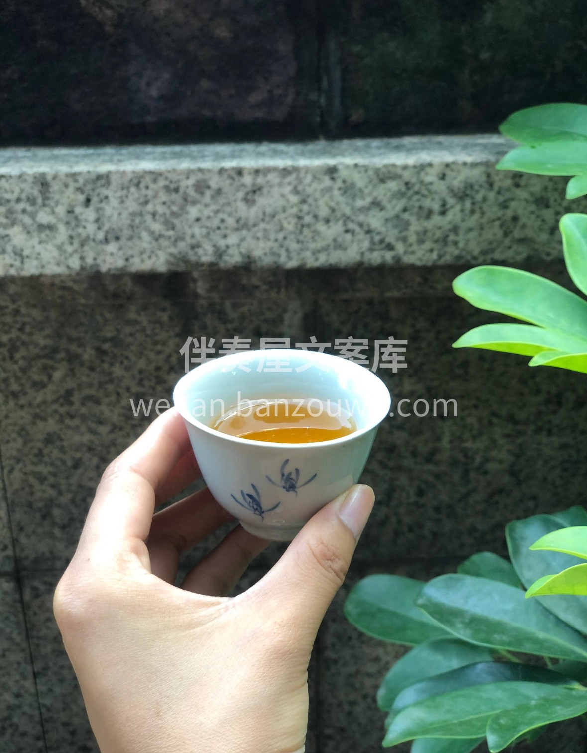 🌿 金骏眉，武夷红茶翘楚。蜜香裹挟桂圆甜 配图3