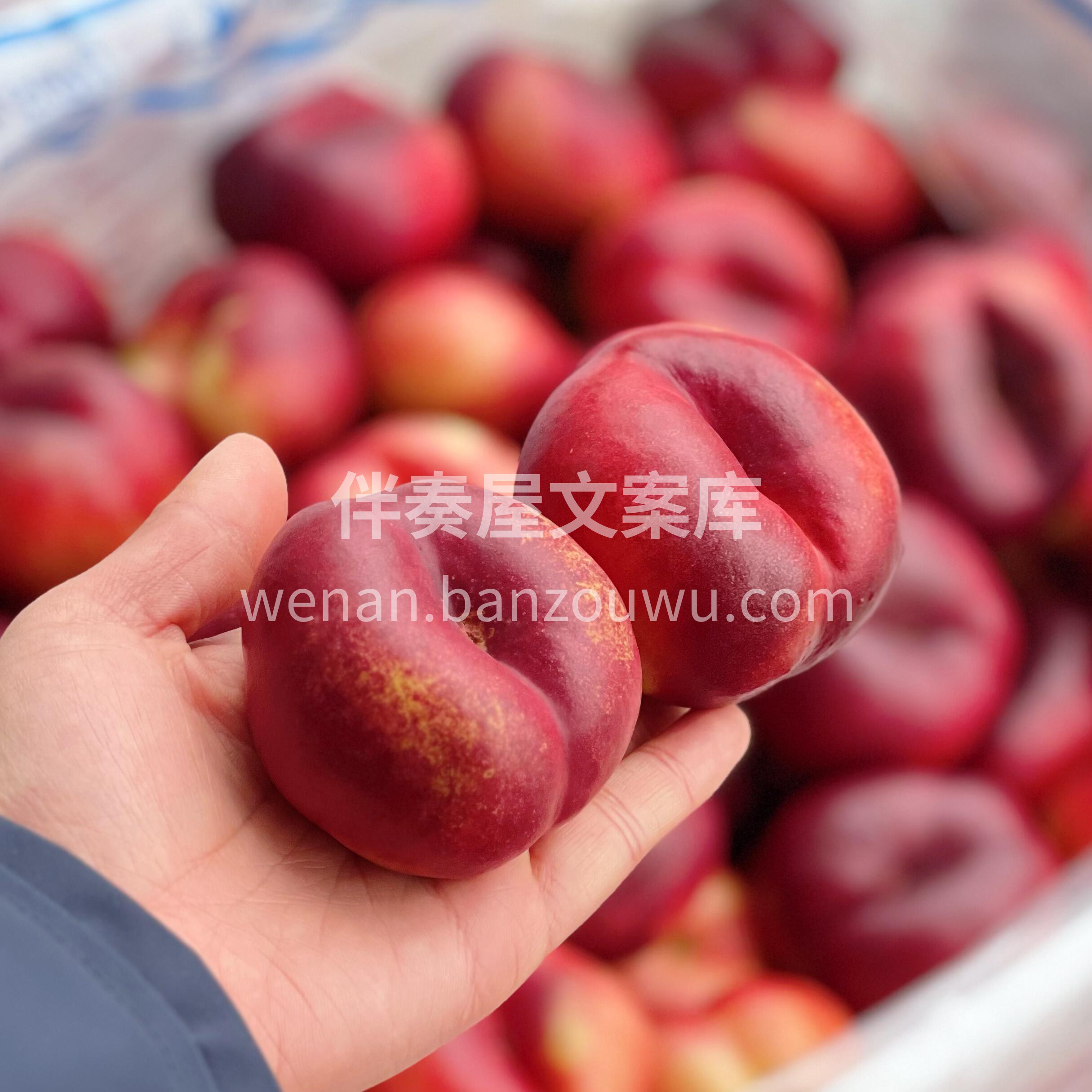 🍑油蟠桃到货👏 好吃的桃子来啦📣，两种吃 配图1