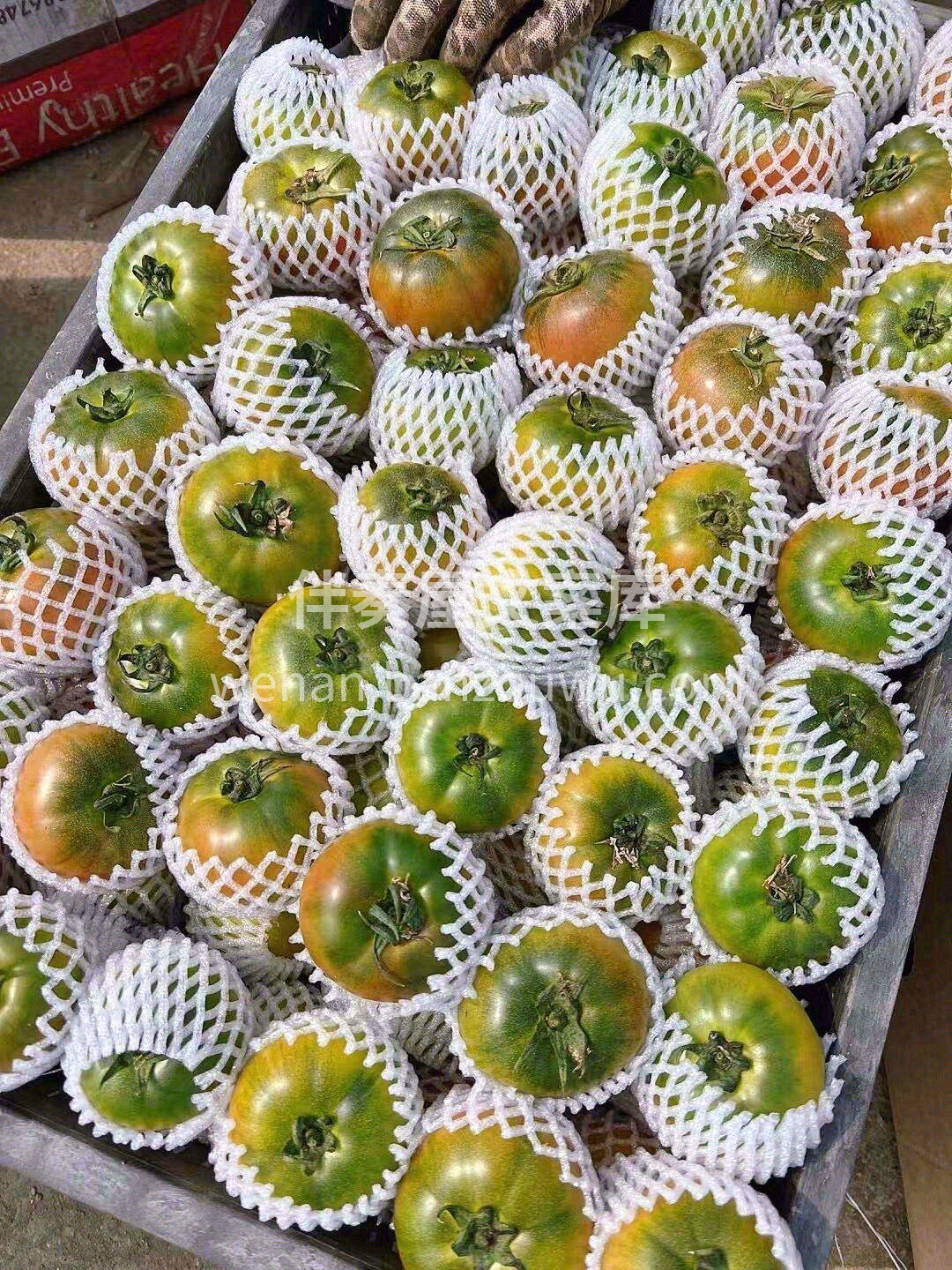 追求完美口感的就来草莓柿子💖 自从有了它 配图1