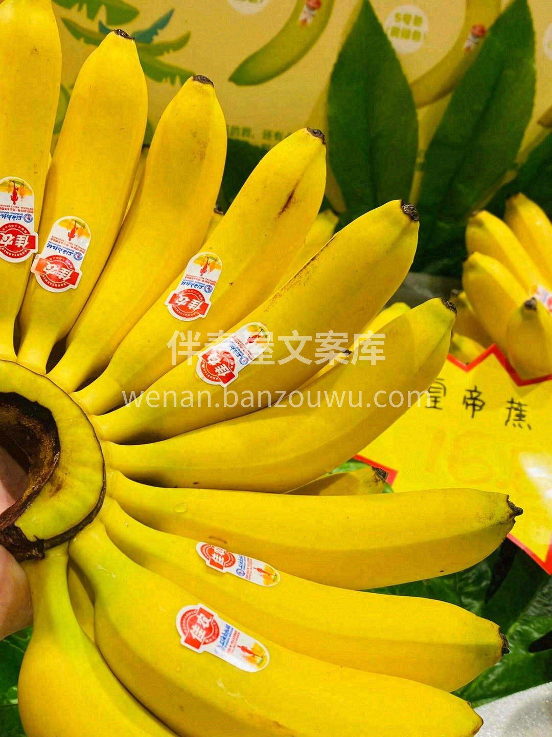 今日份的小可爱——Baby皇帝蕉🍌 一口 配图3