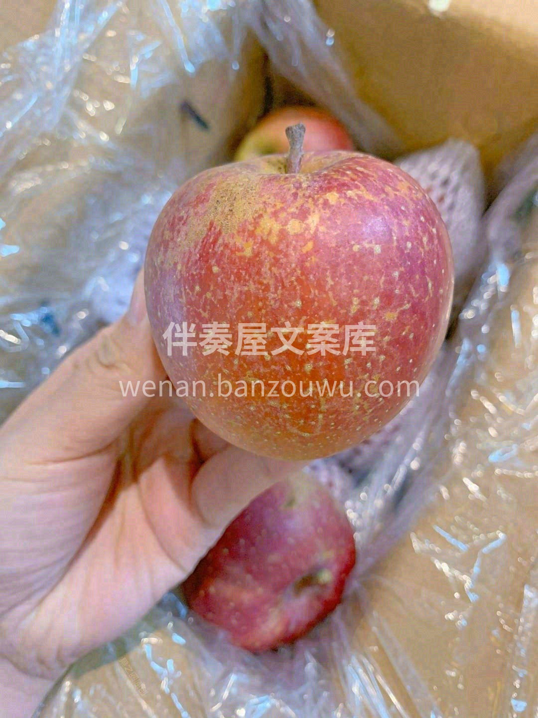 🌿冰糖心苹果甜蜜上市，苹果中的极品👍 甜 配图2