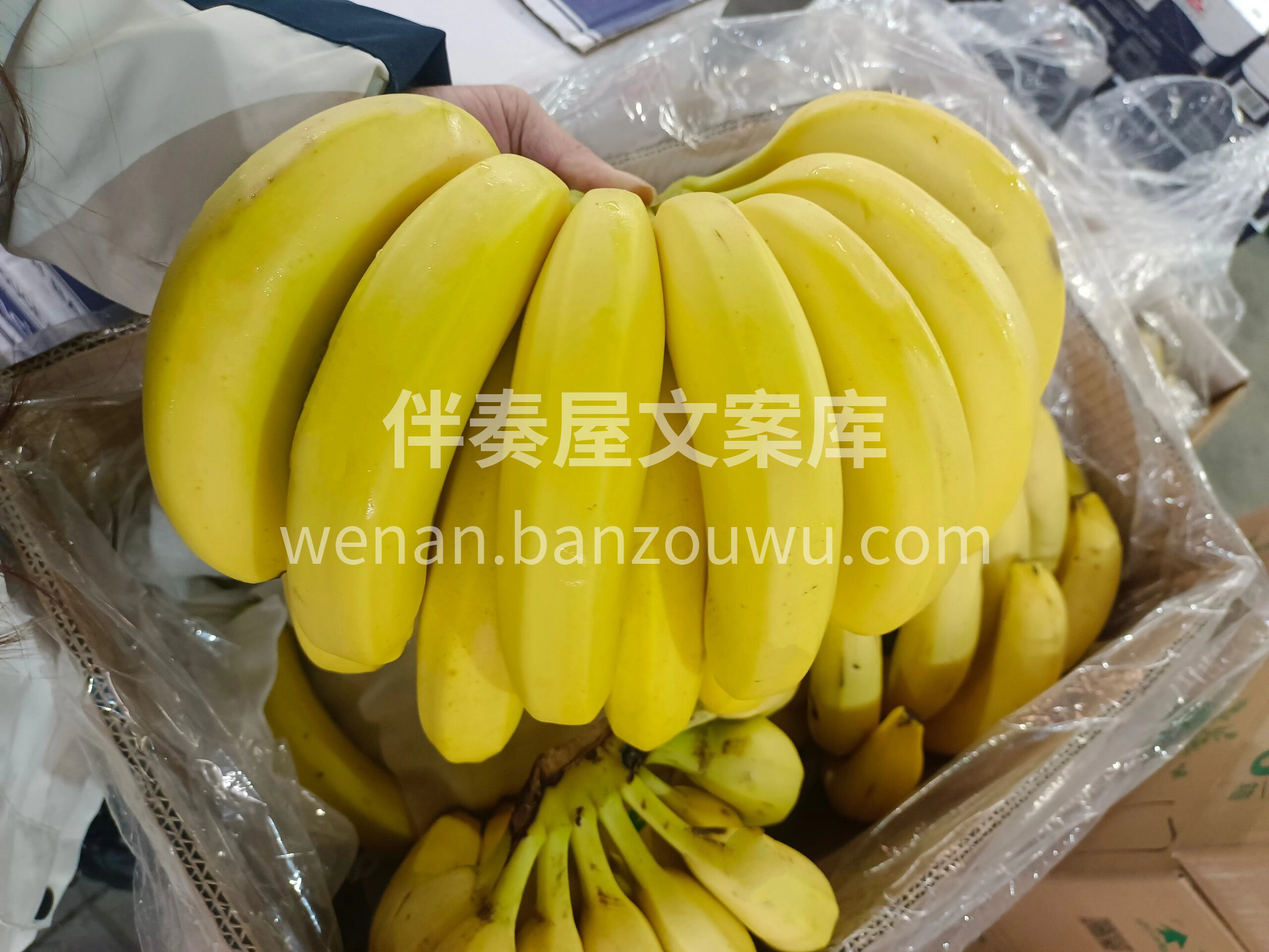 吃一口香甜，享每一份快乐 所见即所得，无 配图3