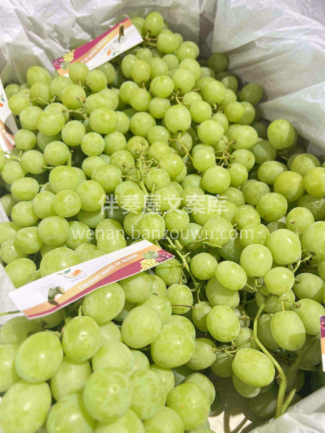 ✈️来自南半球澳洲甜地球青提🍇 颗颗晶莹 配图2