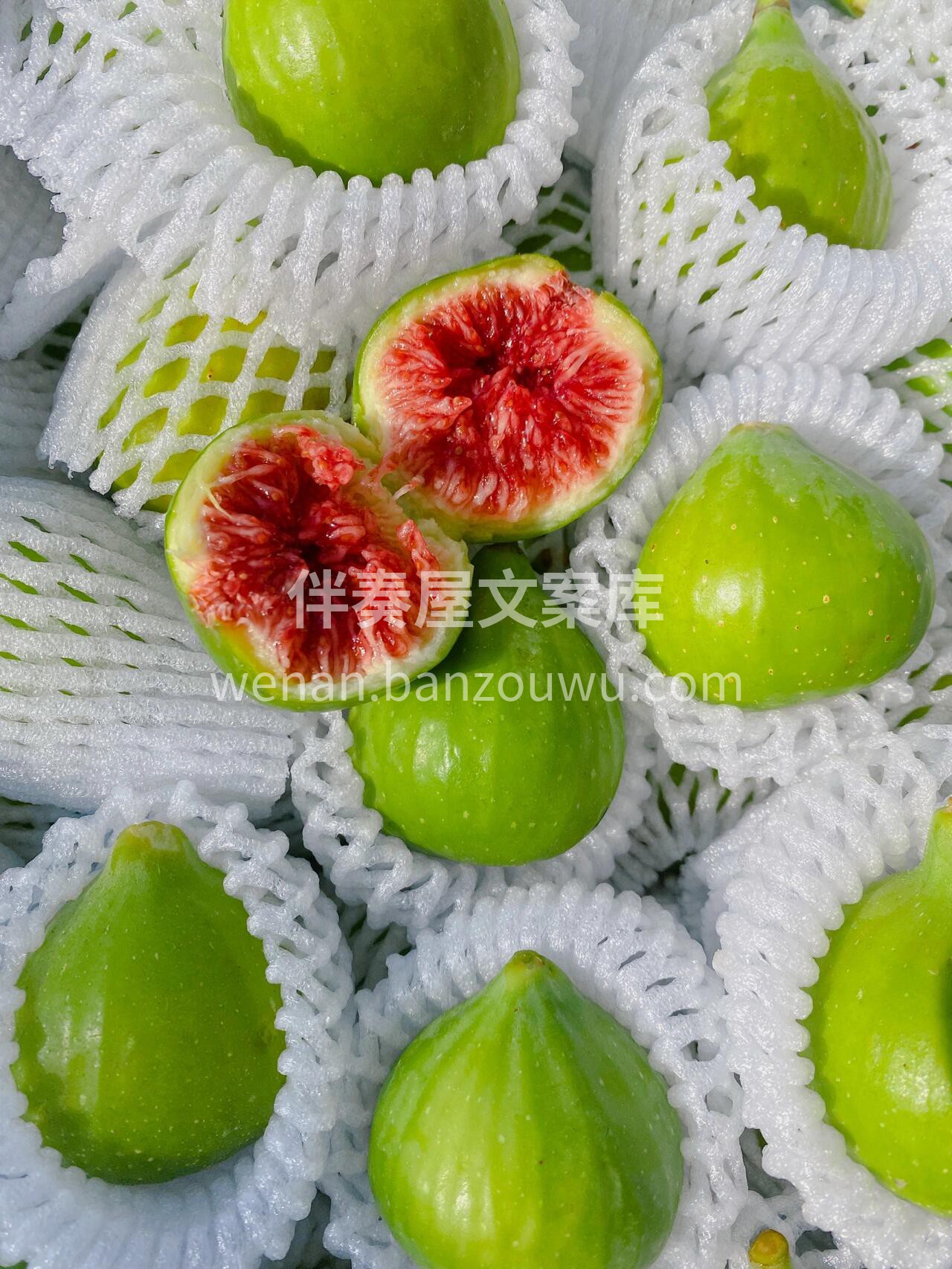 有因必有果，无花🌸也生果！ 无花果不是真 配图1
