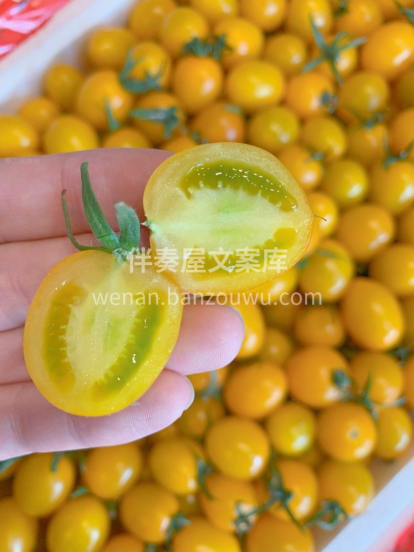 🍅柿柿如愿，柿小愿黄色阳光小番茄 每一口 配图2