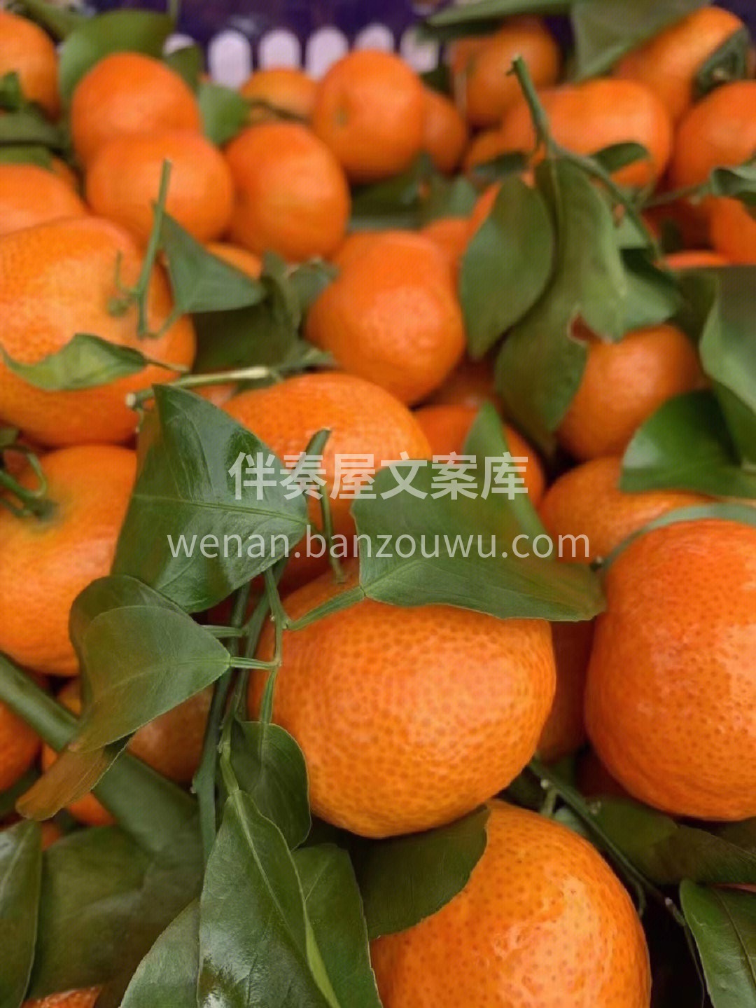🍭🍭每到冬天必吃砂糖橘‼️ 没有砂糖橘🍊 配图3