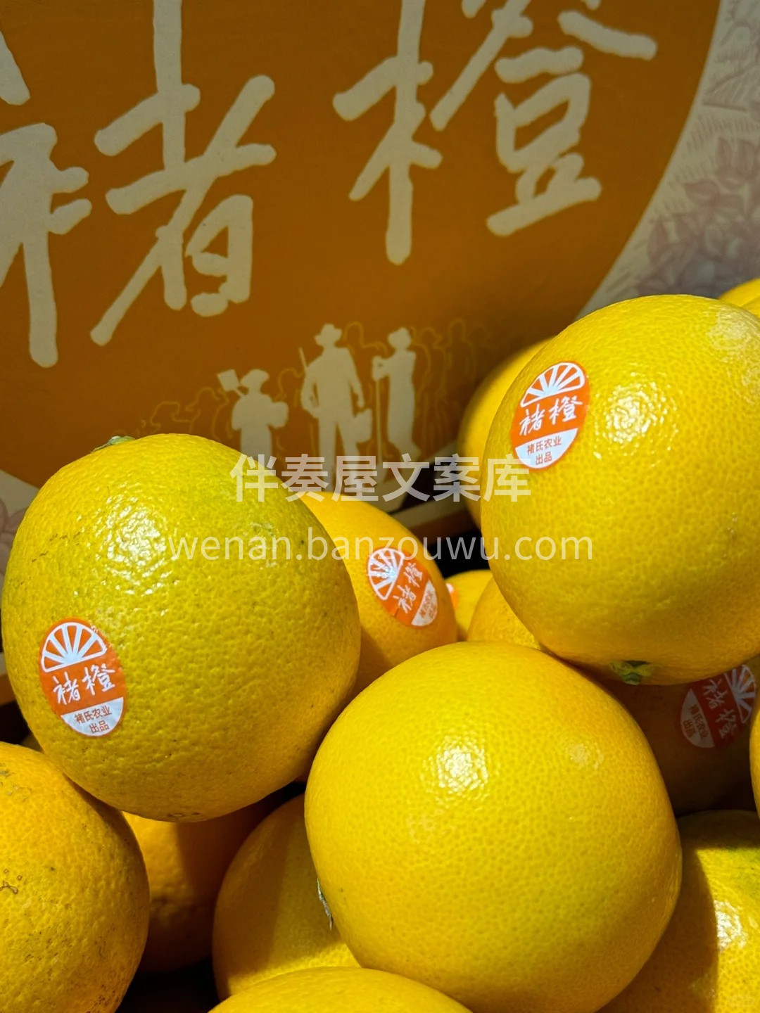 不是每一颗橙子都可以叫做褚橙‼️ 颗颗饱 配图2