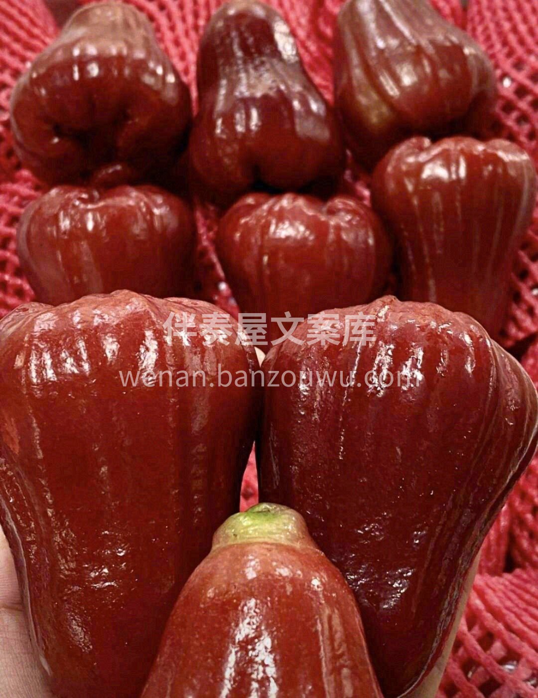 黑金刚莲雾♥️ 真正意义上的“水”果 脆 配图3