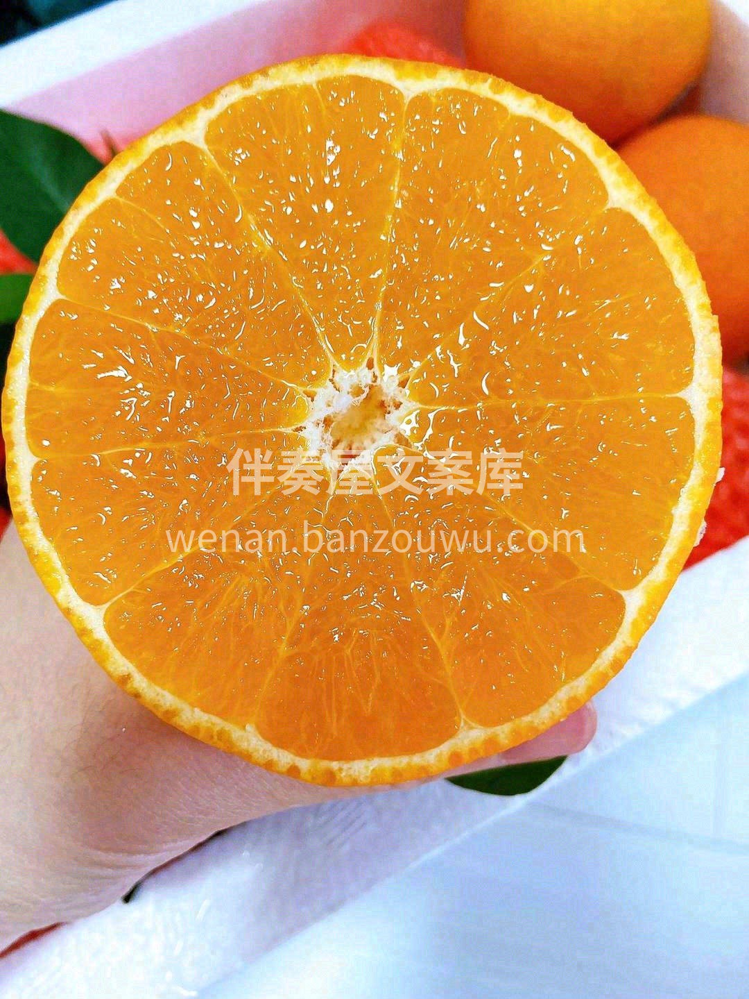 ✨颗颗大果粒，晶莹剔透💎 放在嘴里果汁瞬 配图1