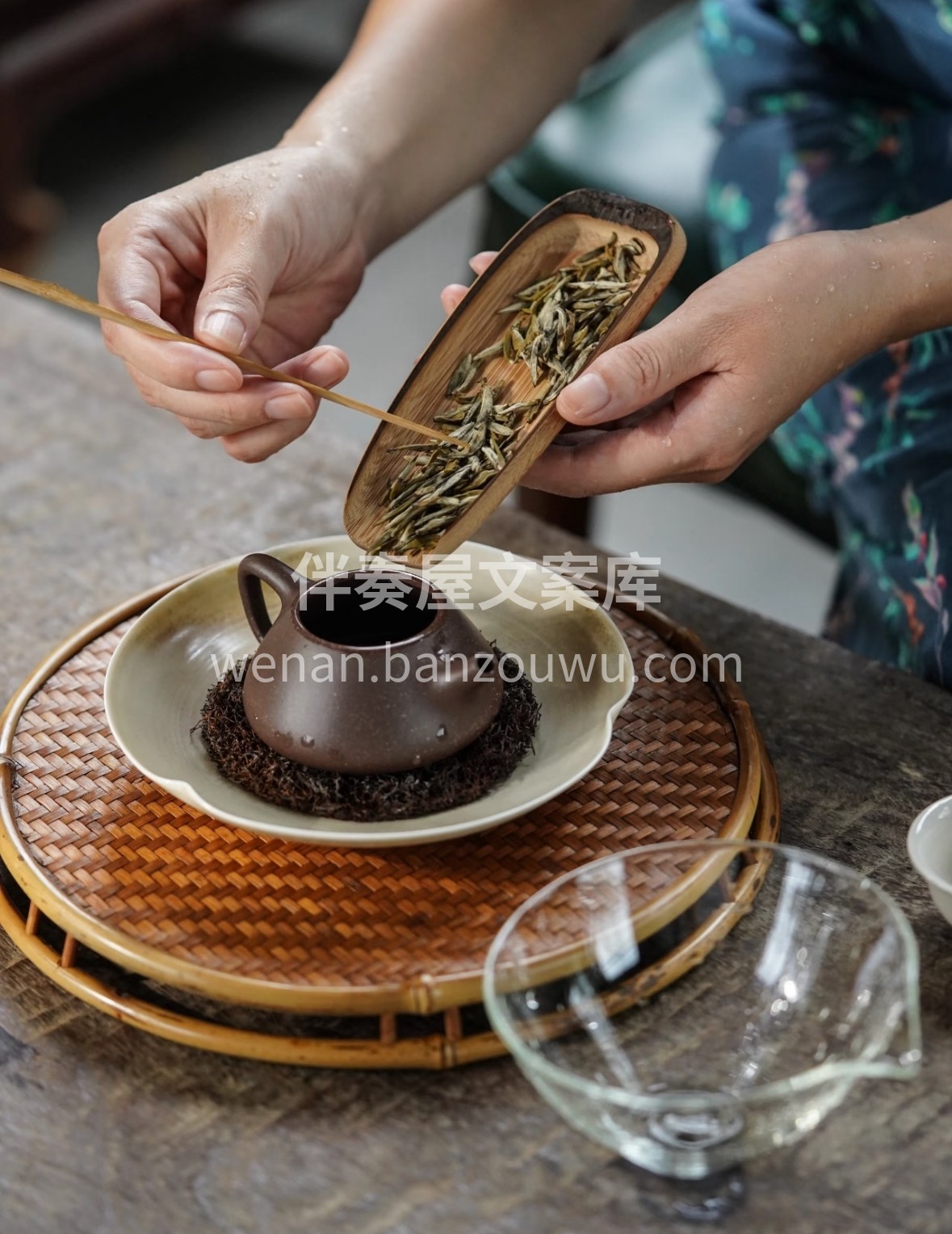 🌿 蒙黄银针甄选蒙顶山明前单芽，满披金毫 配图1