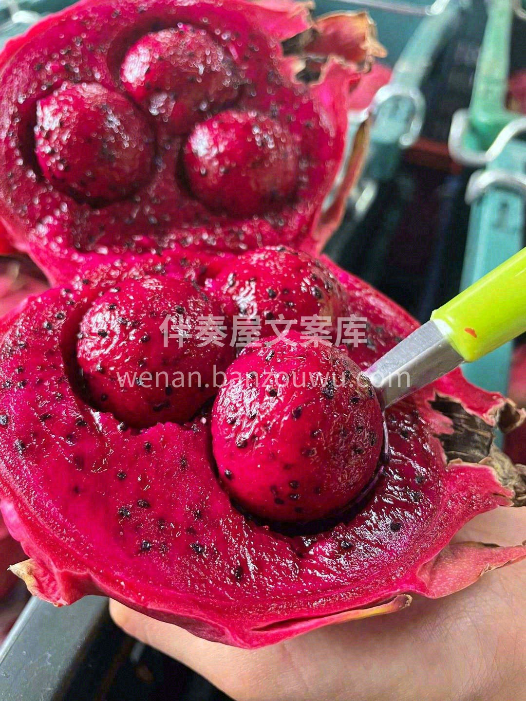坚持每天吃这颗优秀的红心火龙果🌸！ 你就 配图3