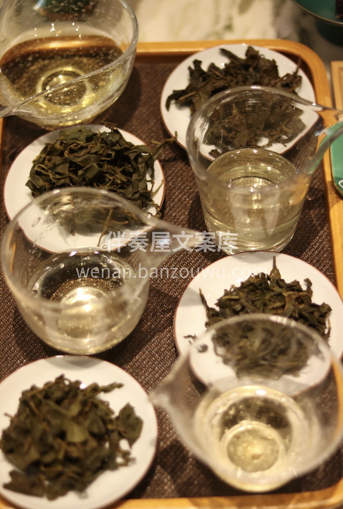 春归万物生✨，乌龙沁心脾。来自宝岛的云雾 配图2