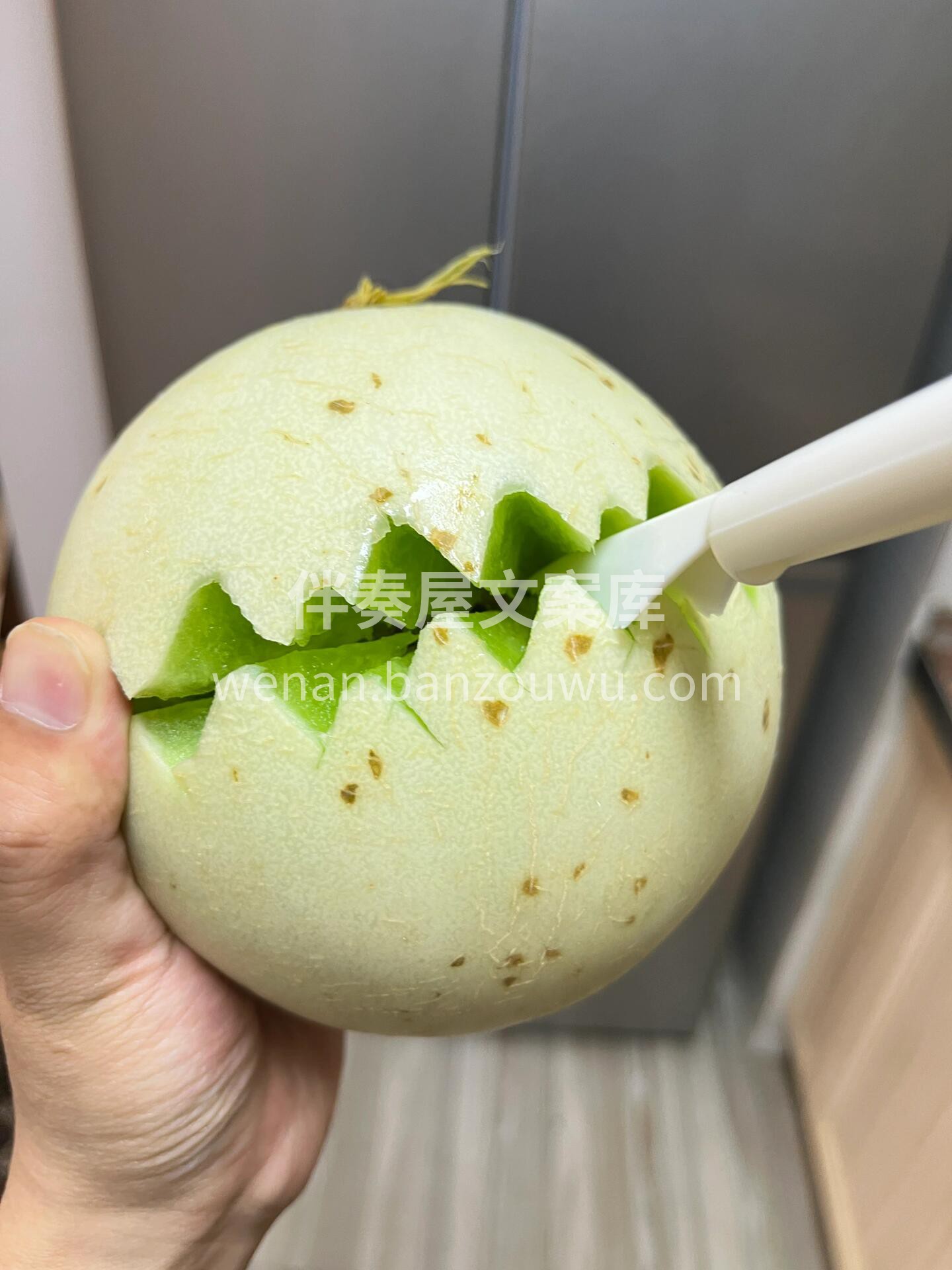 🍈玉菇瓜外表小清新🌸白皮绿肉，闻之醇香， 配图1