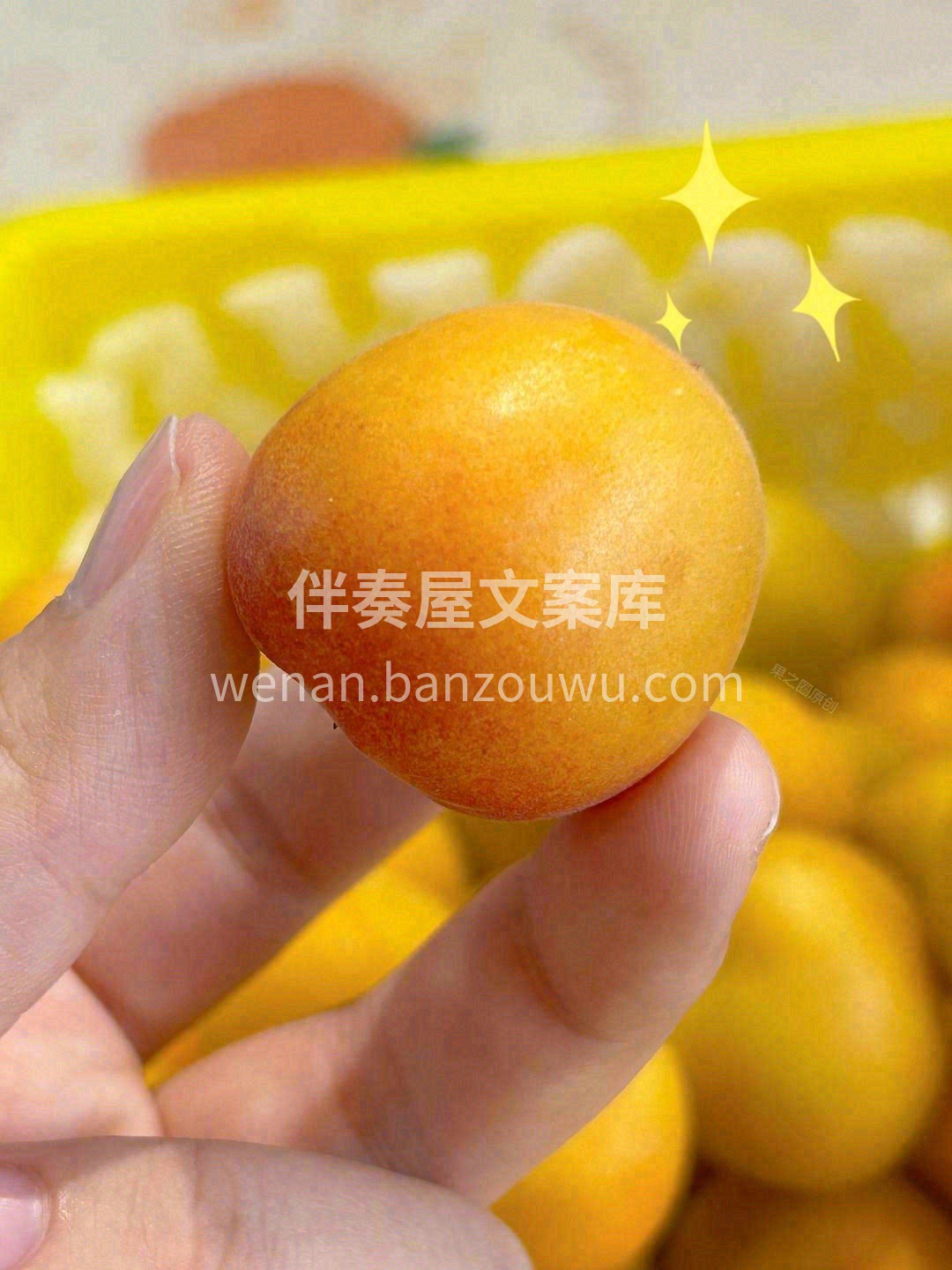 世上只有两种杏👄，‬新疆干吊‬杏和其他杏 配图1