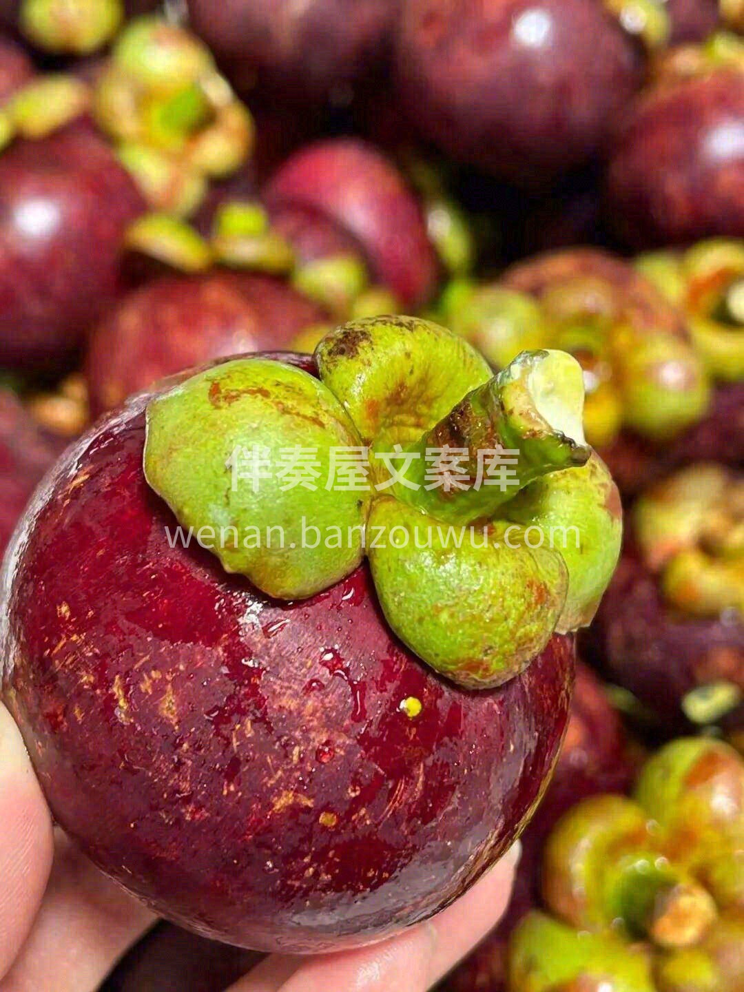 🍃看看咱家山竹新不新鲜，这紫红的外皮💜  配图3