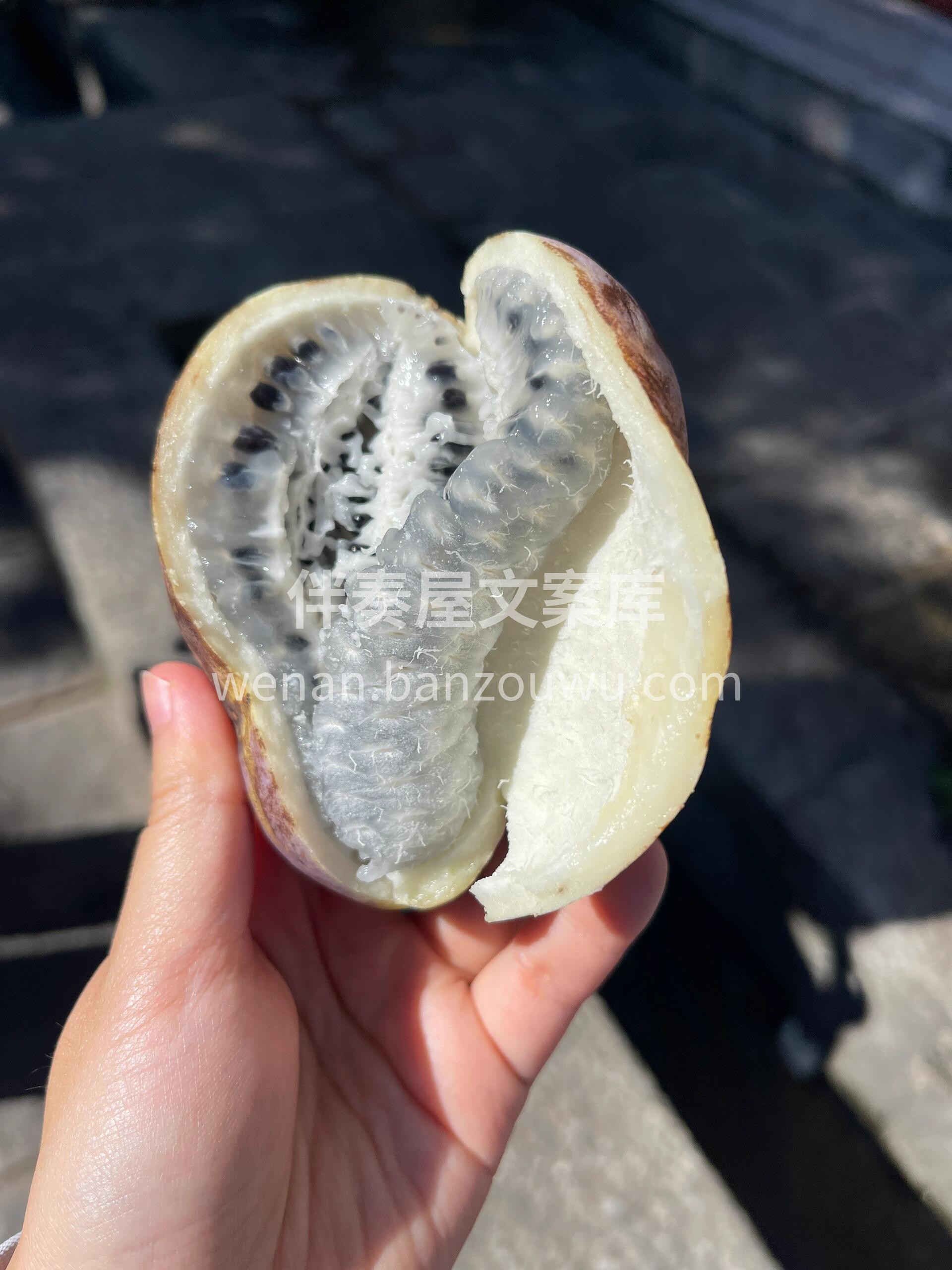 💥八月瓜上新💥 一年只吃一次的奶味水果  配图3