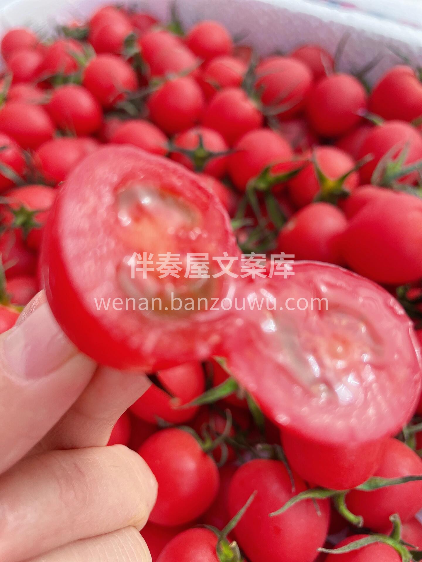 🍅电白千禧真的是一口一个的幸福感🎊 清香 配图3