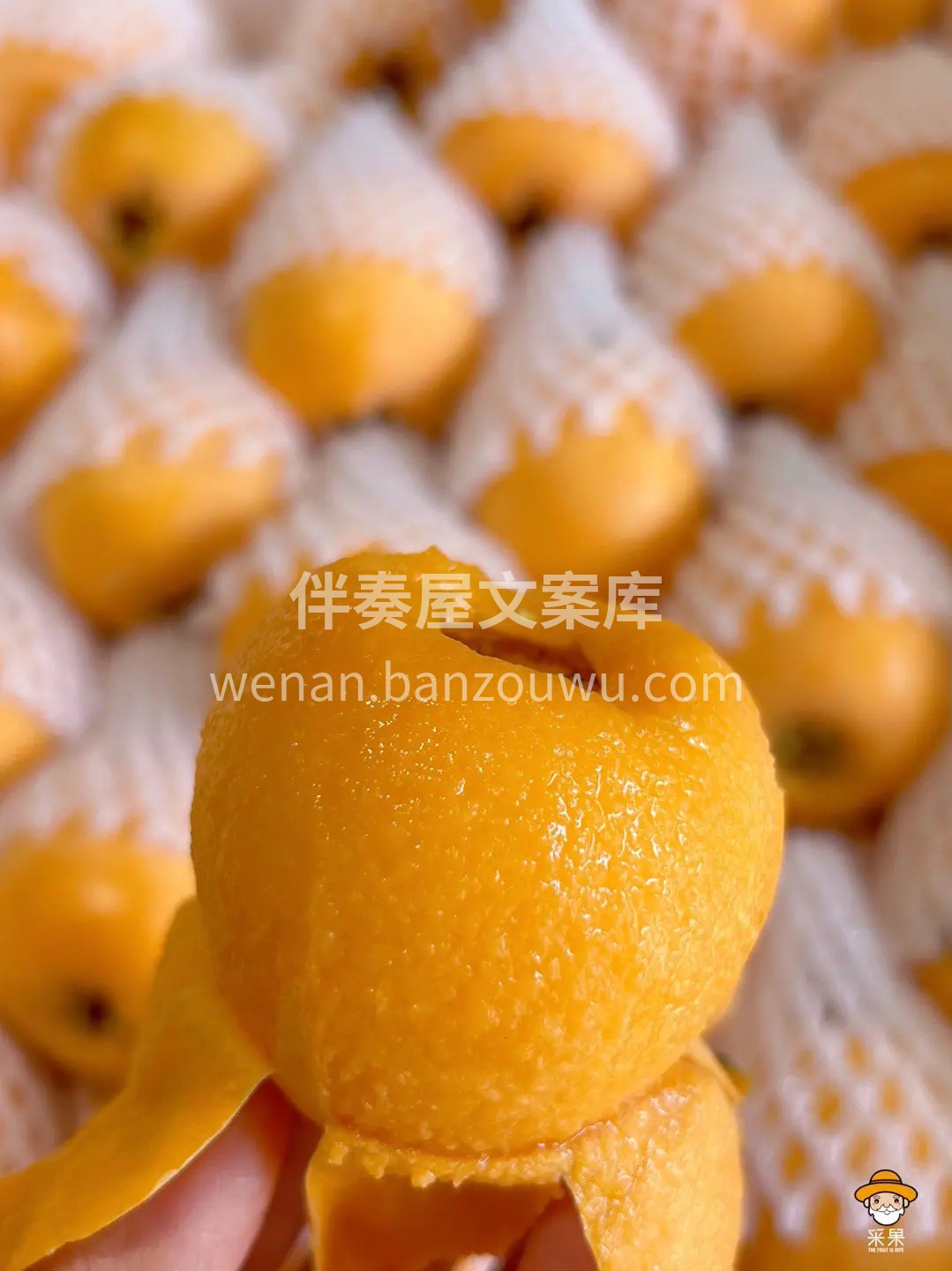 ❣今日份的快乐是一份鲜嫩多汁的枇杷😃 皮 配图1