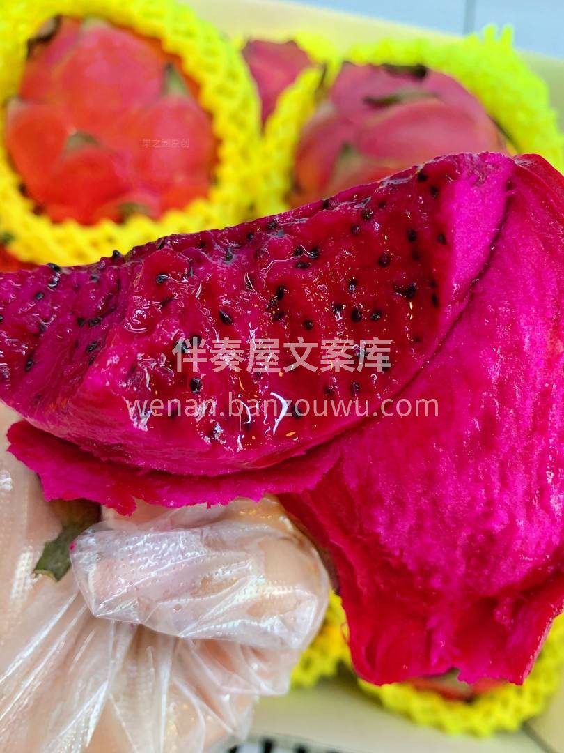 刺是软的，心?是红的，我从不否认我的虚张 配图1