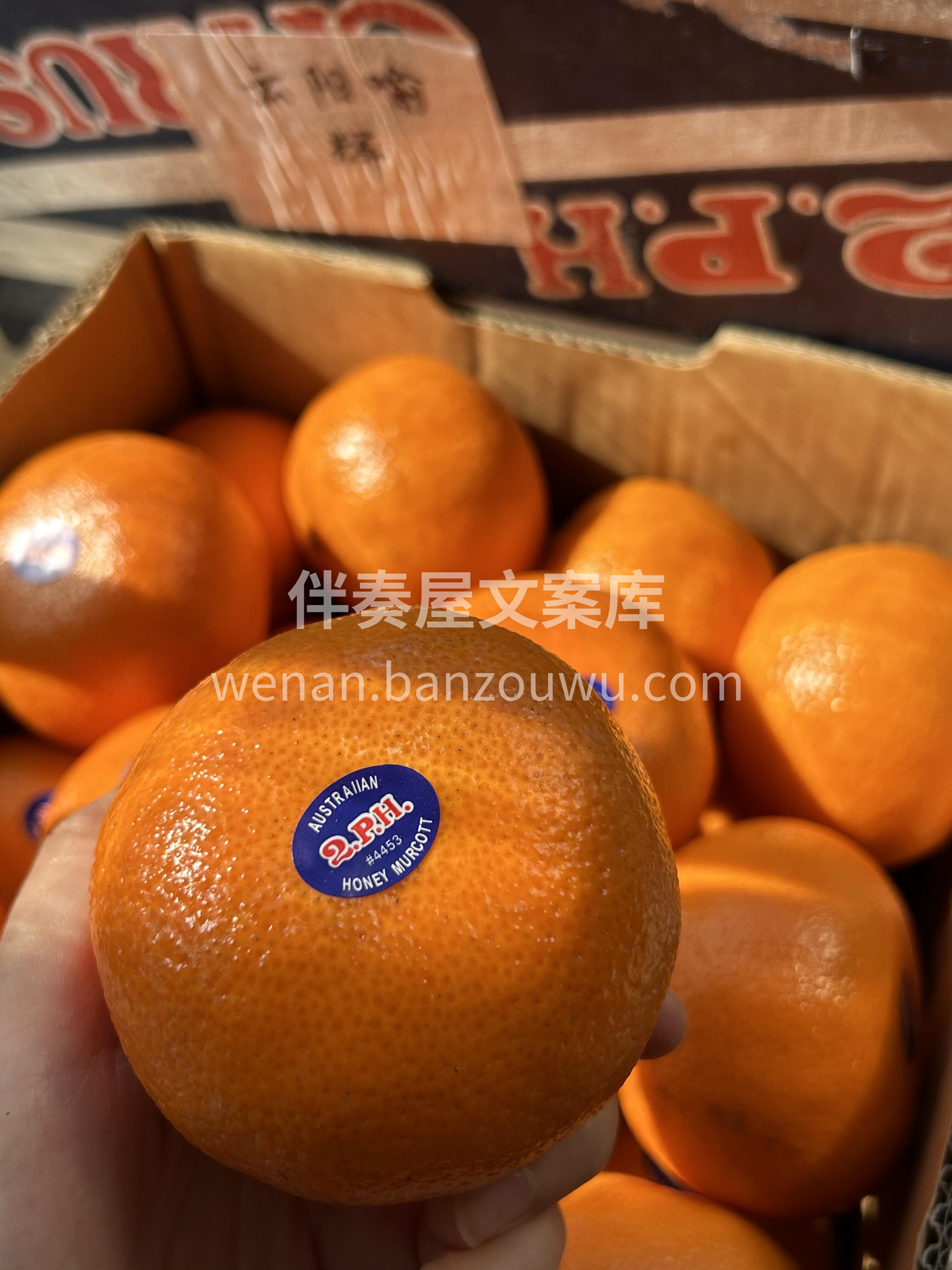 🍃柑橘王者！2ph澳橘🍊 吃腻了夏日的水 配图2