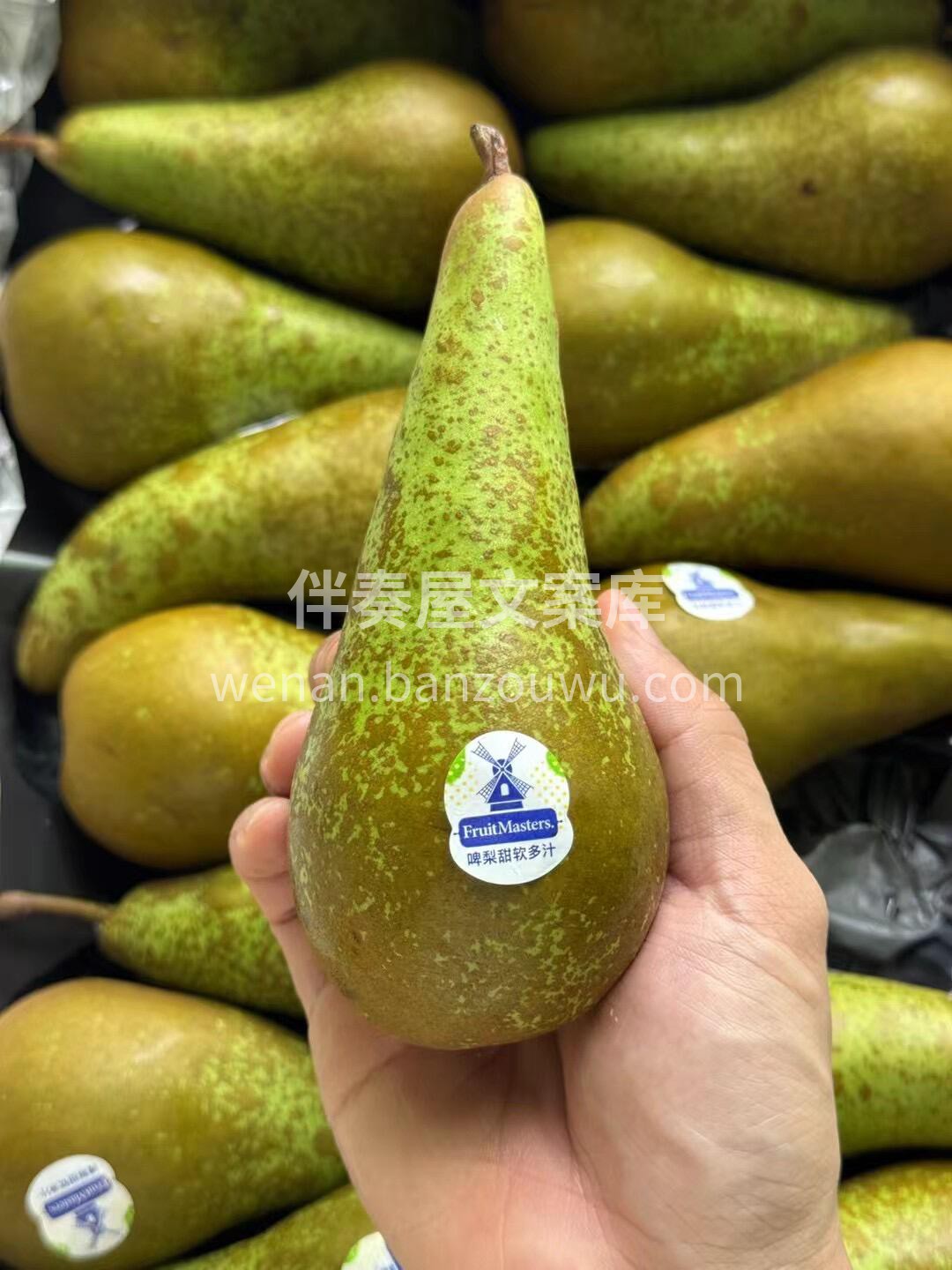 是它是它就是它，日思夜想的荷兰啤梨🍐 颗 配图1
