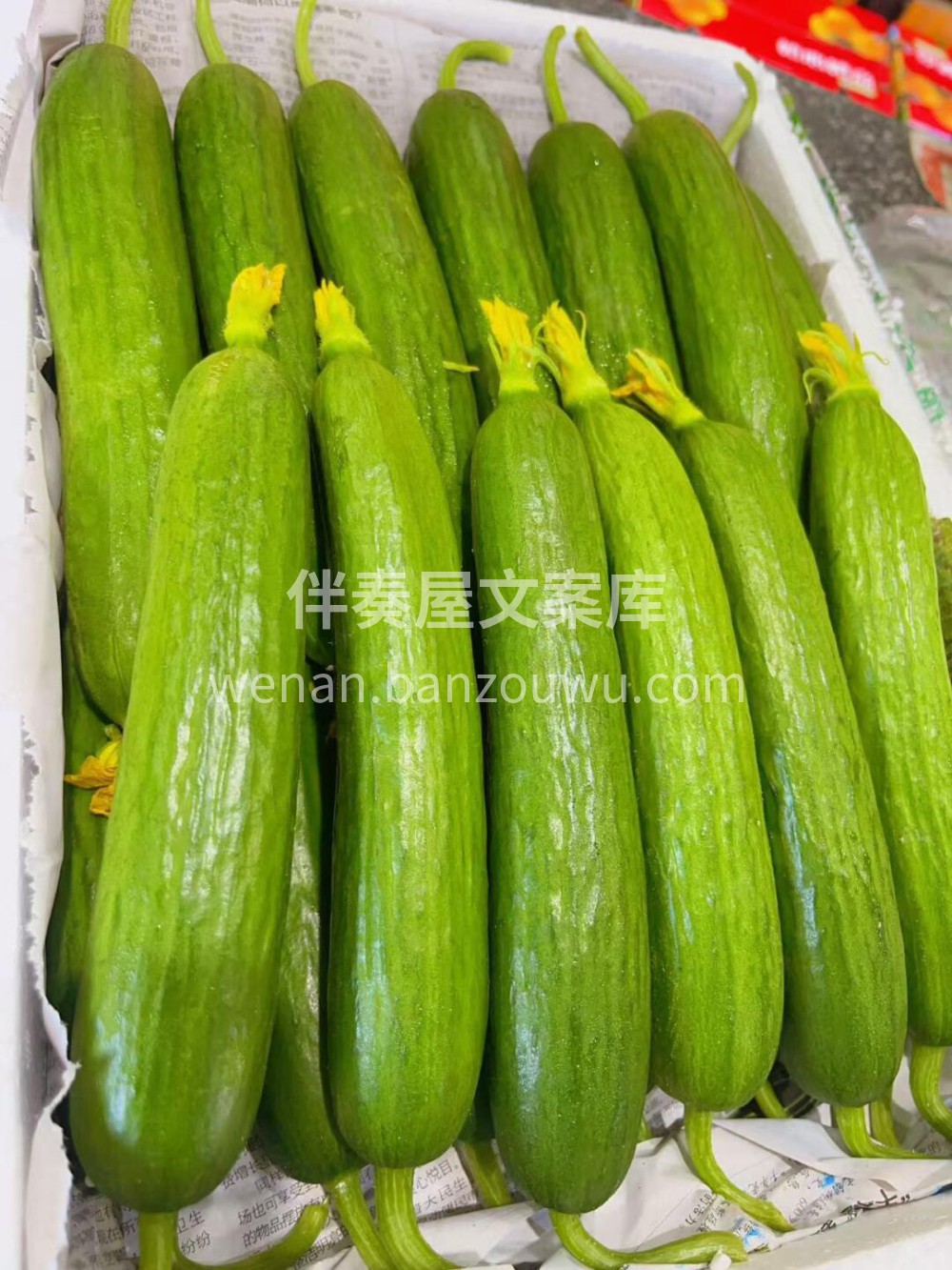🥒水果小黄瓜🥒酥脆爽口，口感完爆普通黄瓜 配图1