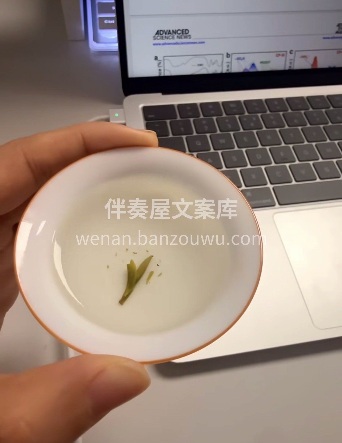 【2026新茶上市｜黄山毛峰】✅ ✅ 核 配图3