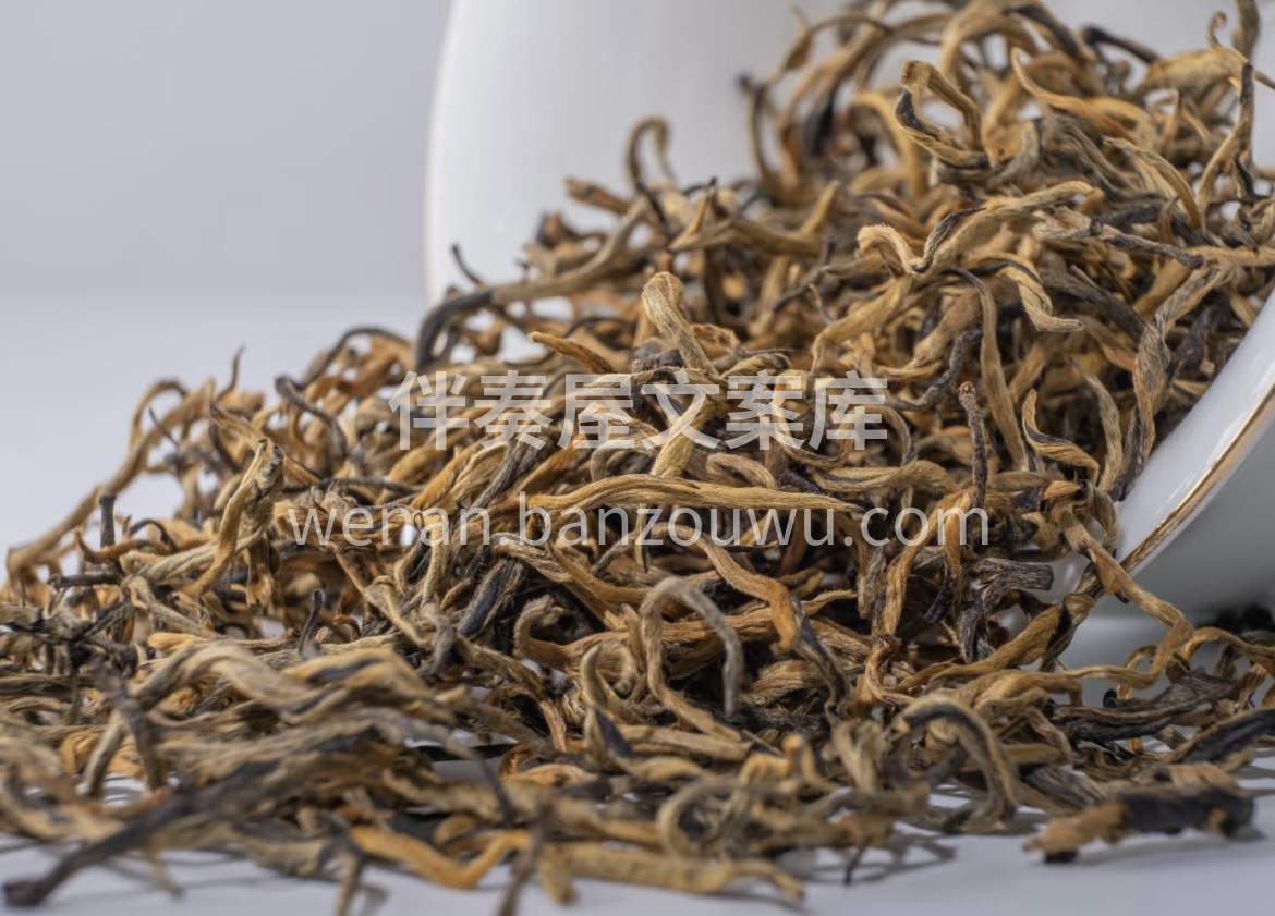 英德的茶山，春芽吸足了南粤的热与润，经传 配图3
